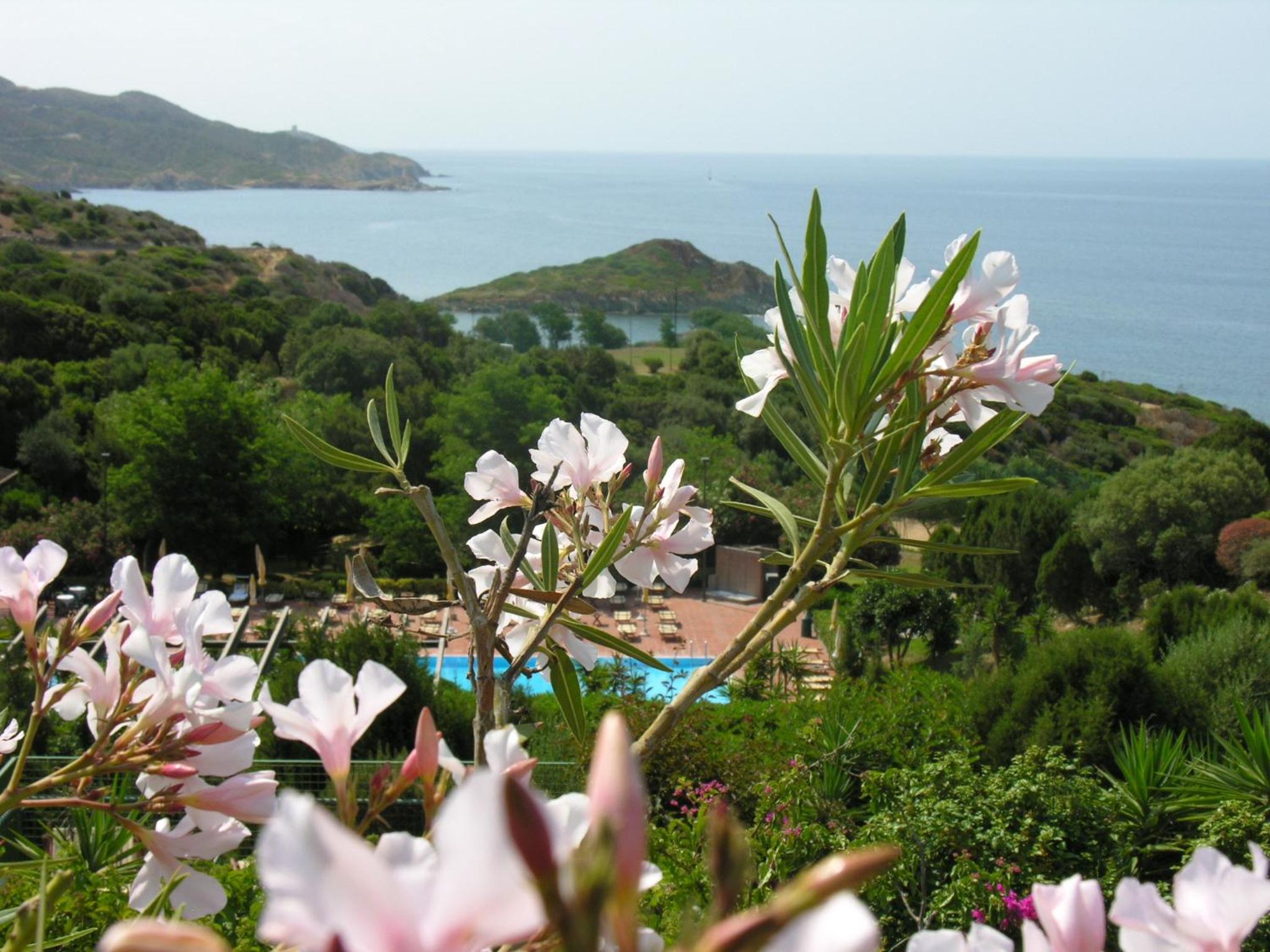 Apartment with Sea View photo 2