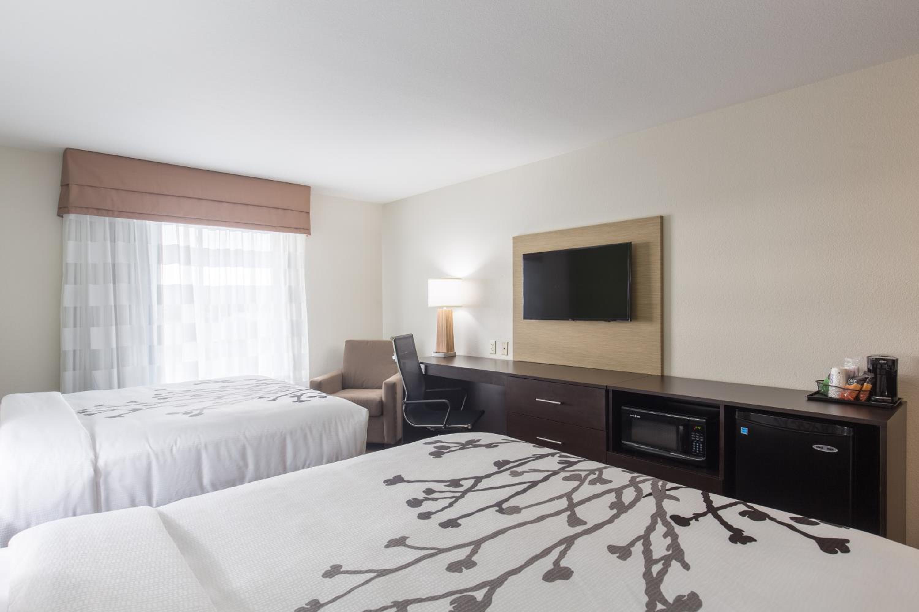 Standard Queen Room with Two Queen Beds - Non-Smoking