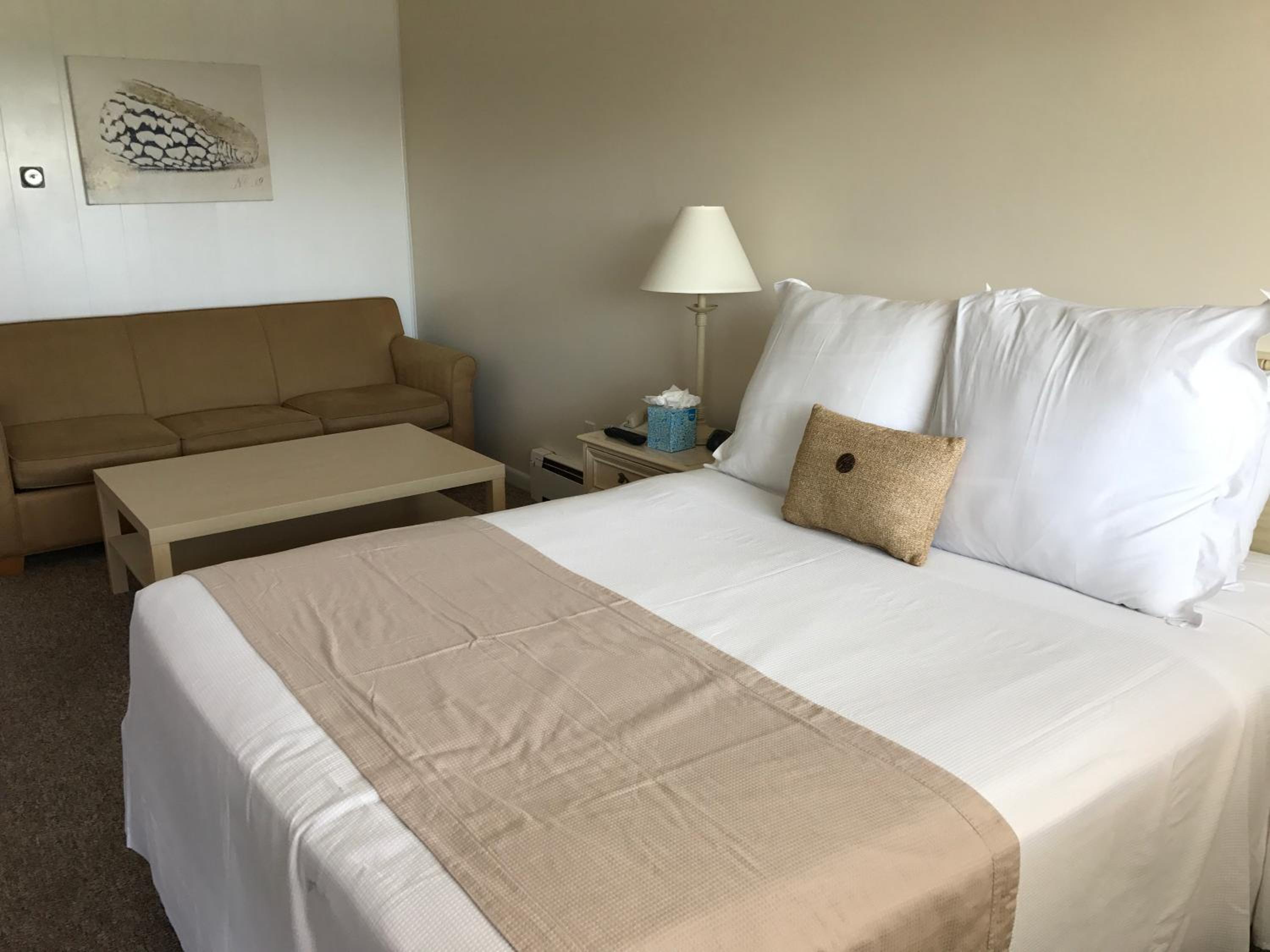 Queen Room with Pool View photo 1