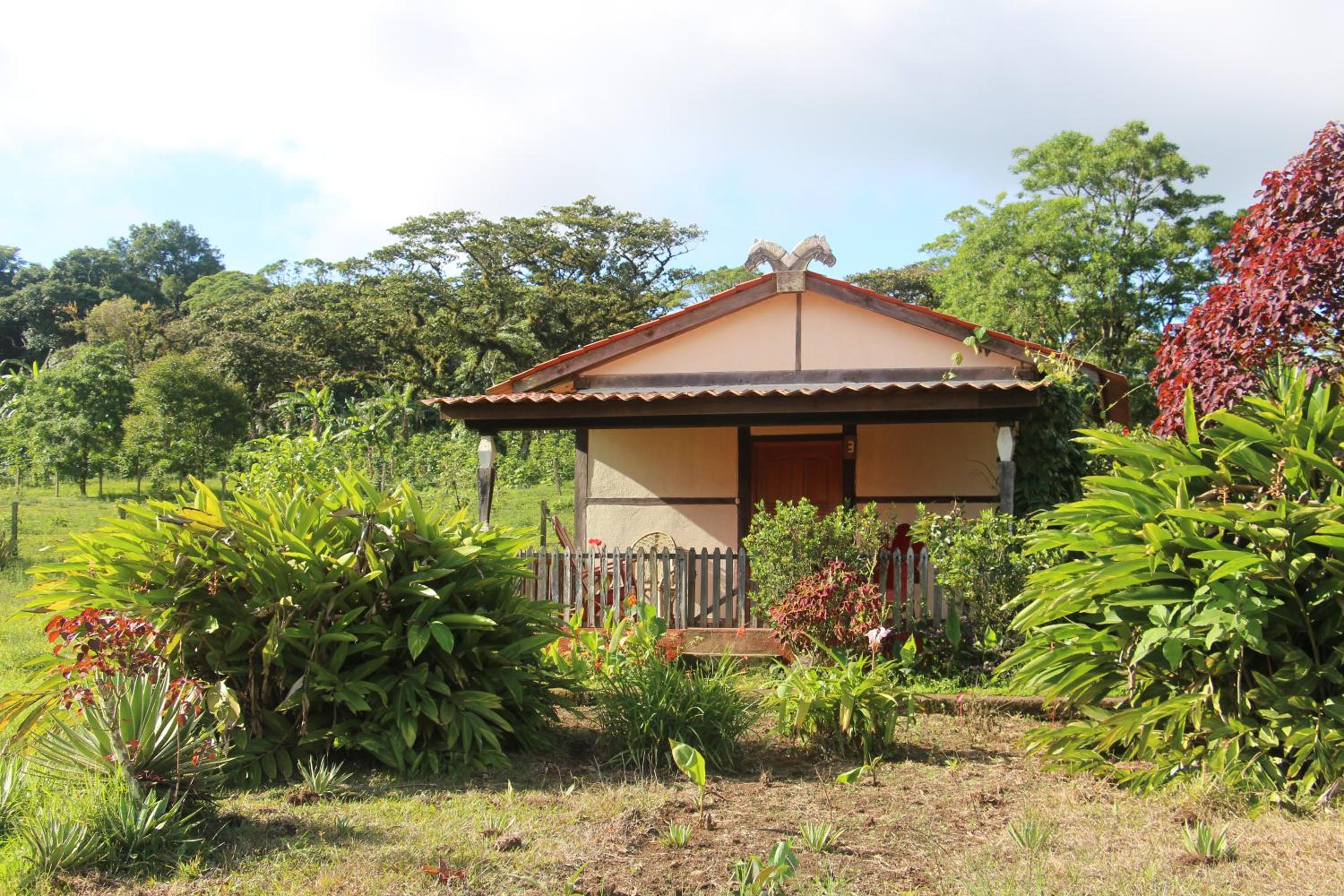 Bungalow photo 3