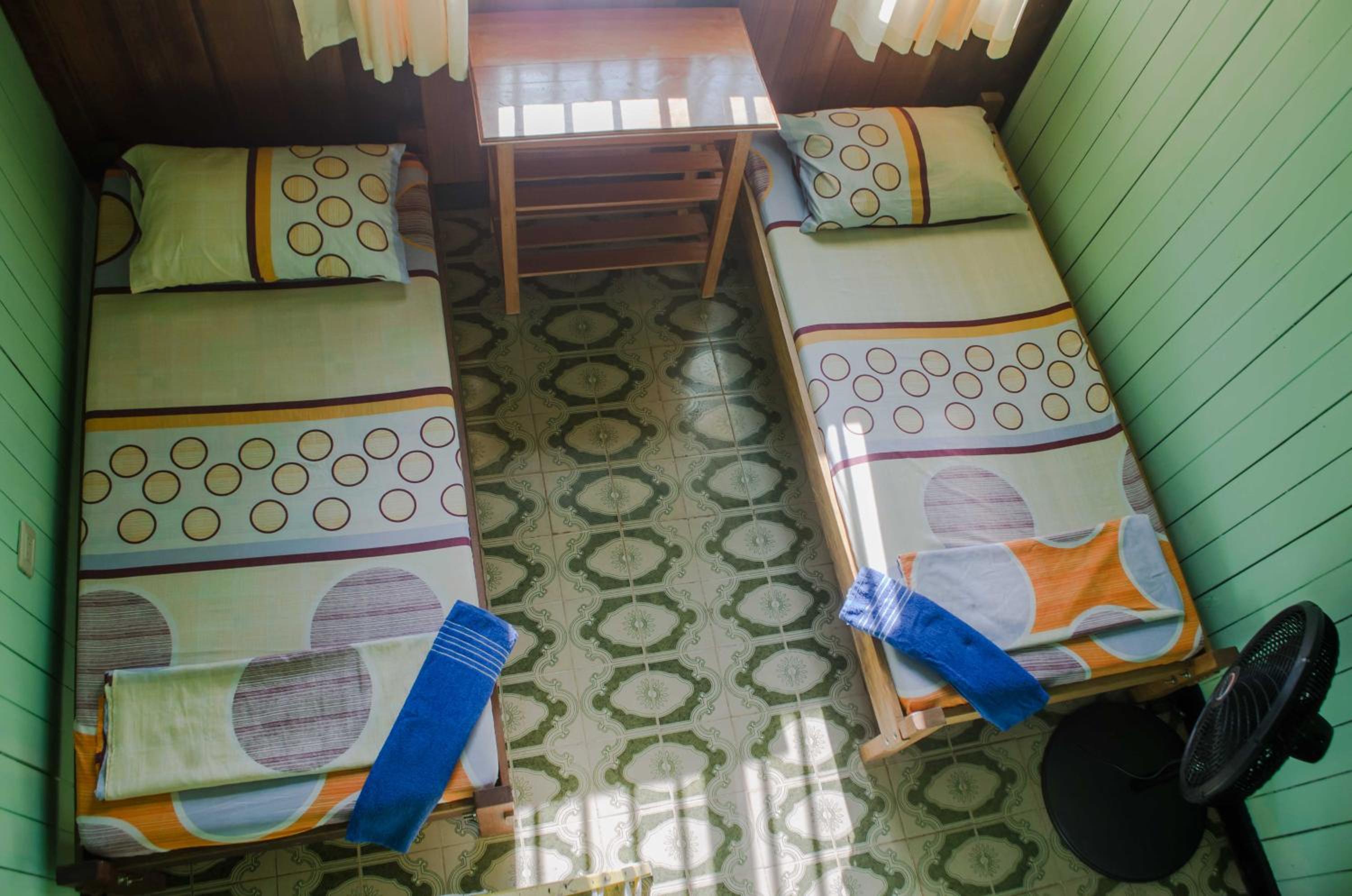 Twin Room photo 3