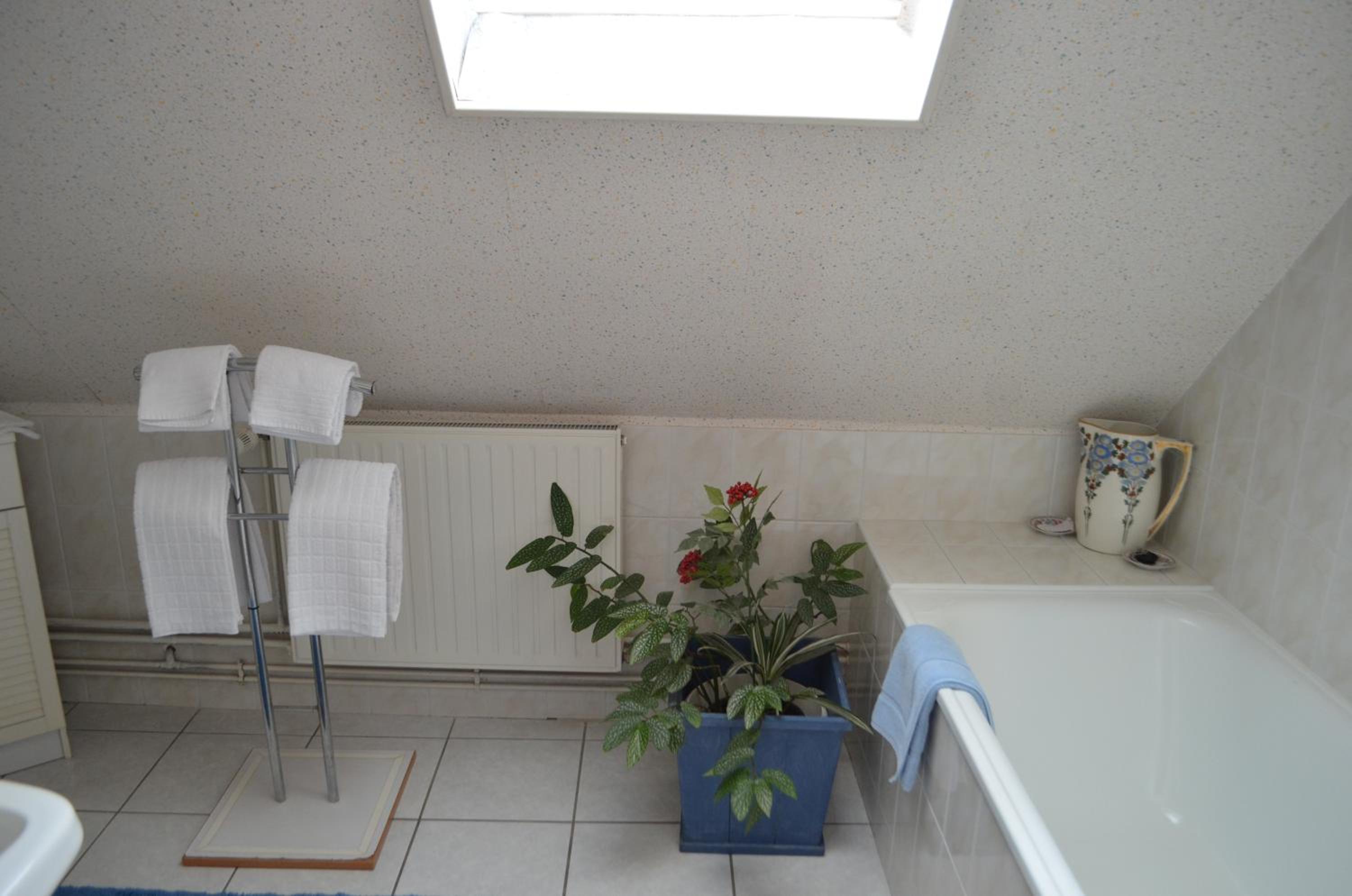 Suite photo 3