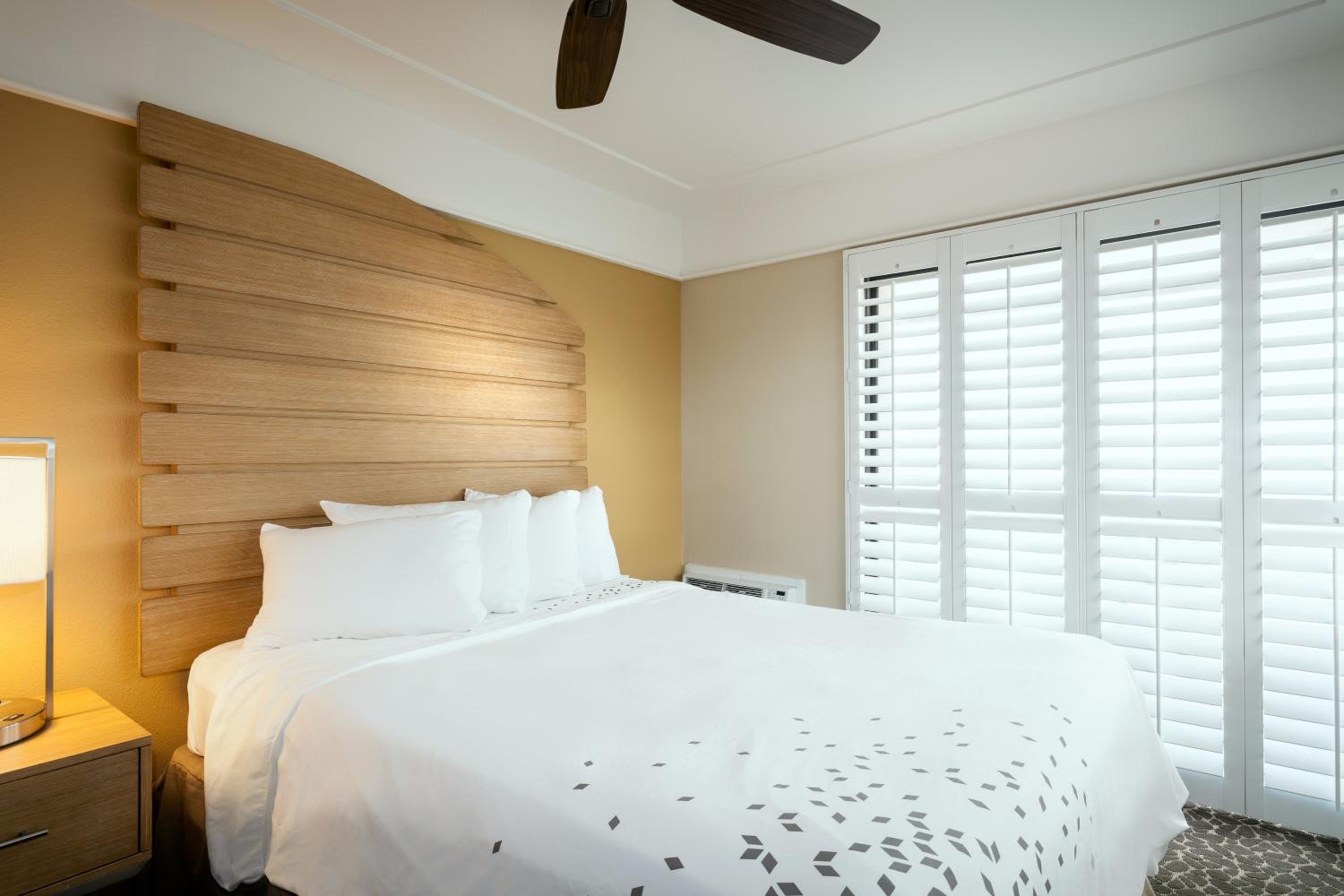 Two Room Suite with Sofa Bed and Kitchen