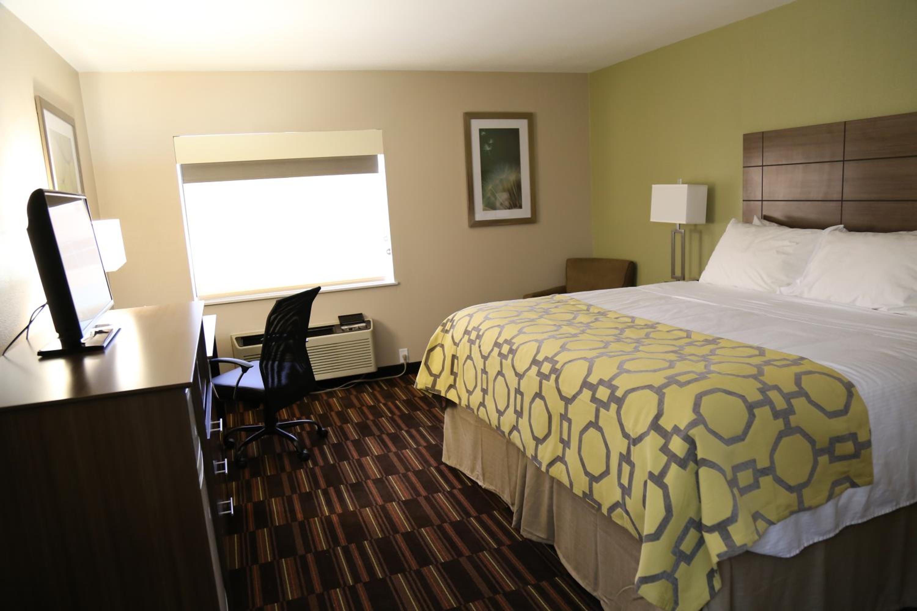 King Room - Non-Smoking - Photo 13