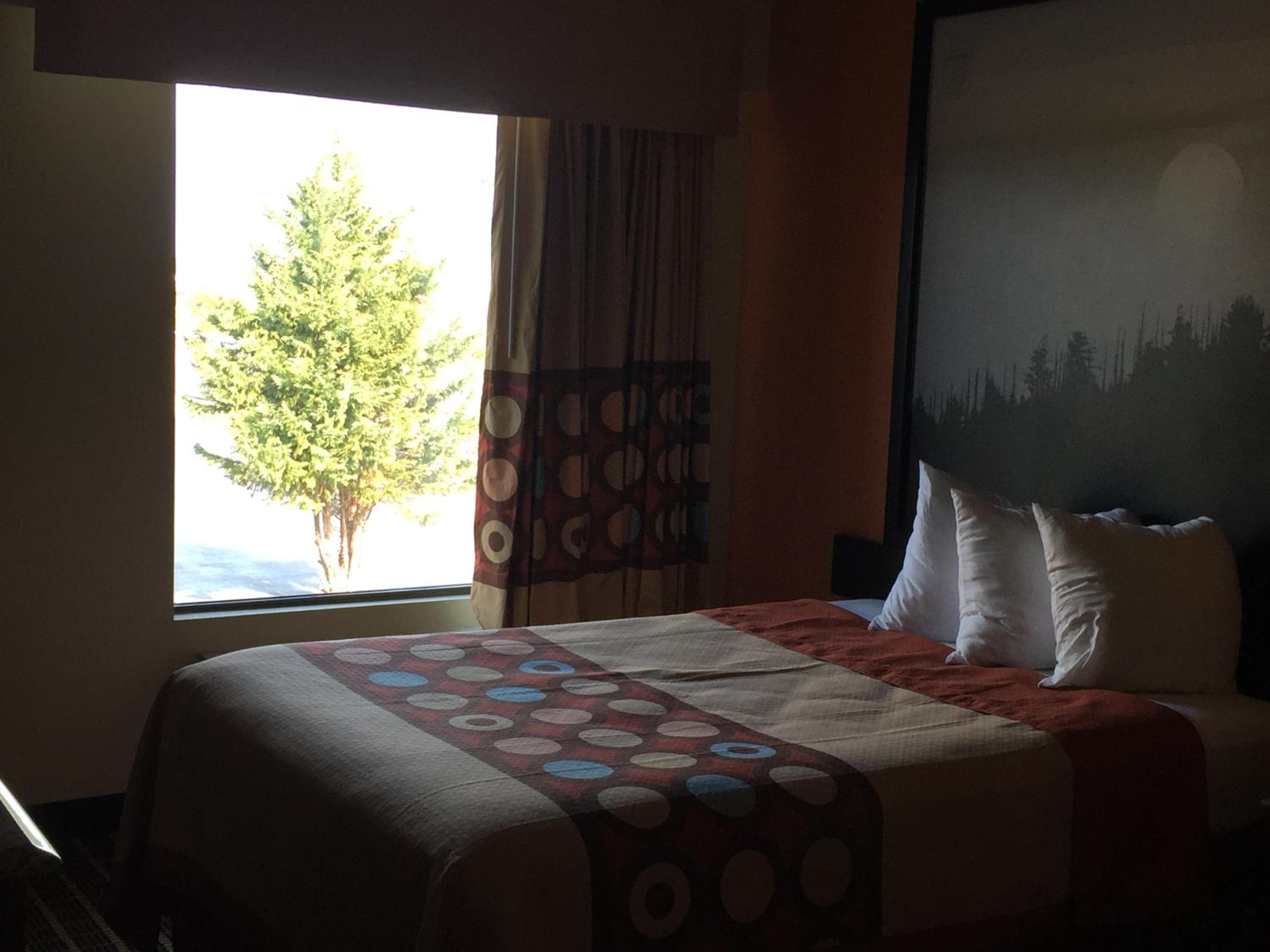 Double Room with Two Double Beds - Non-Smoking photo 2