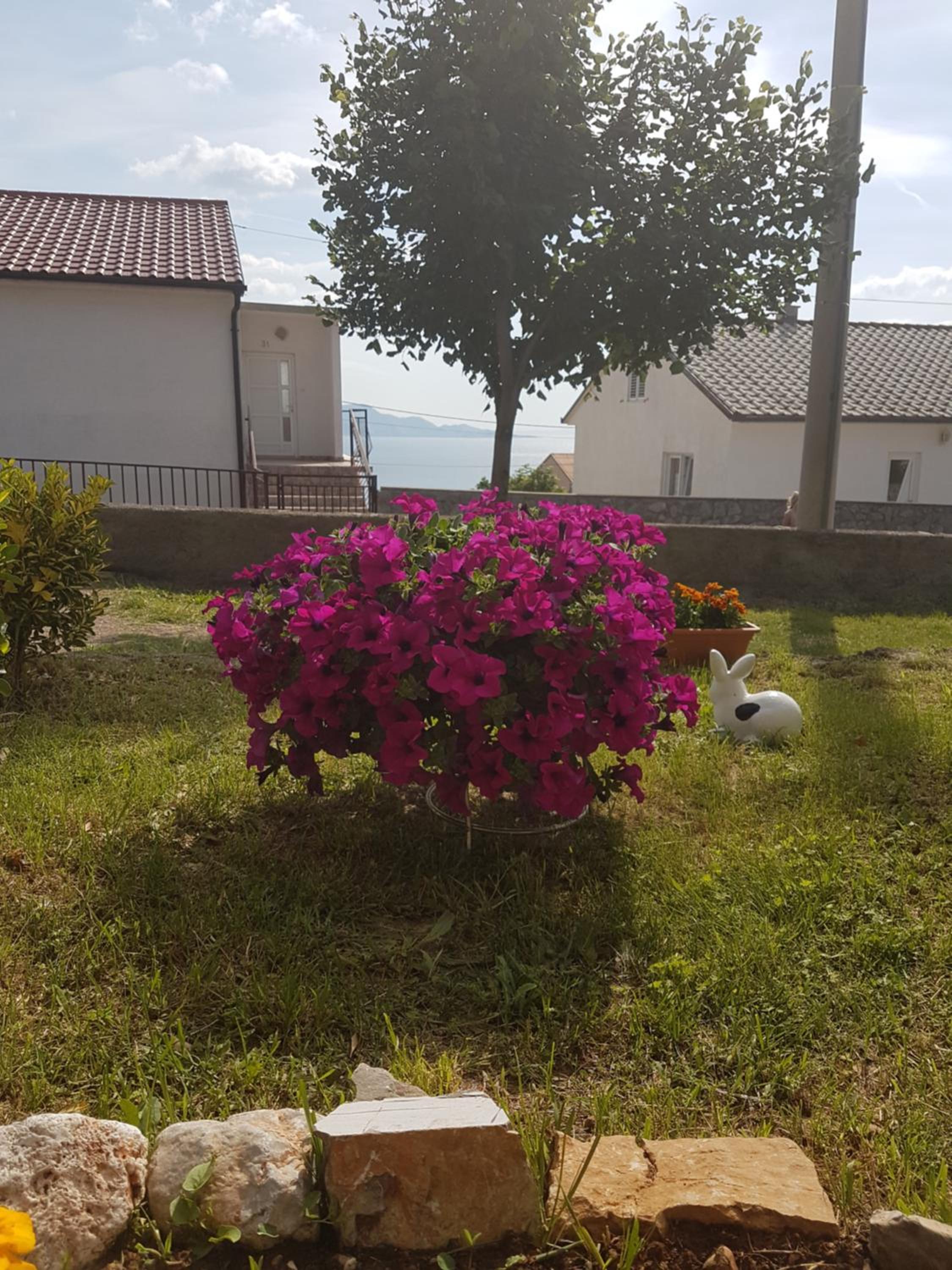 Apartment - Photo 47