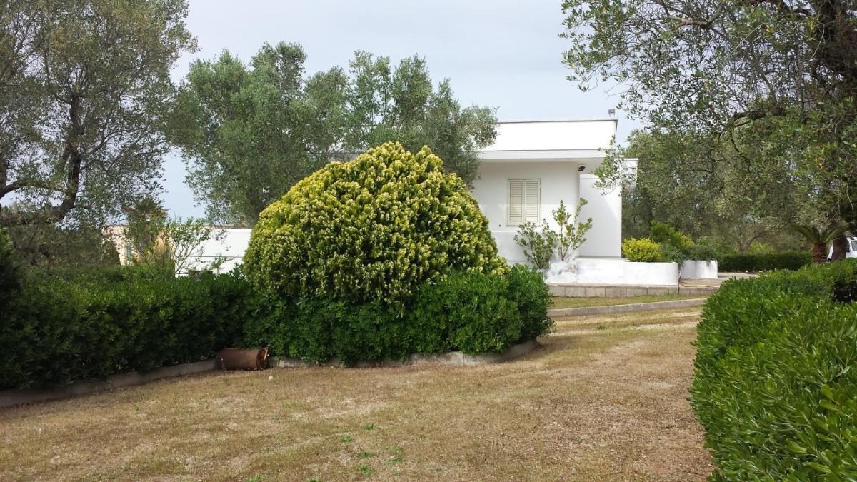 Four-Bedroom House photo 2