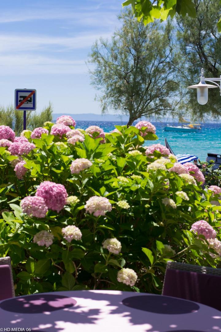 Double Room with Sea View - First Floor (2 Adults + 1 Child)