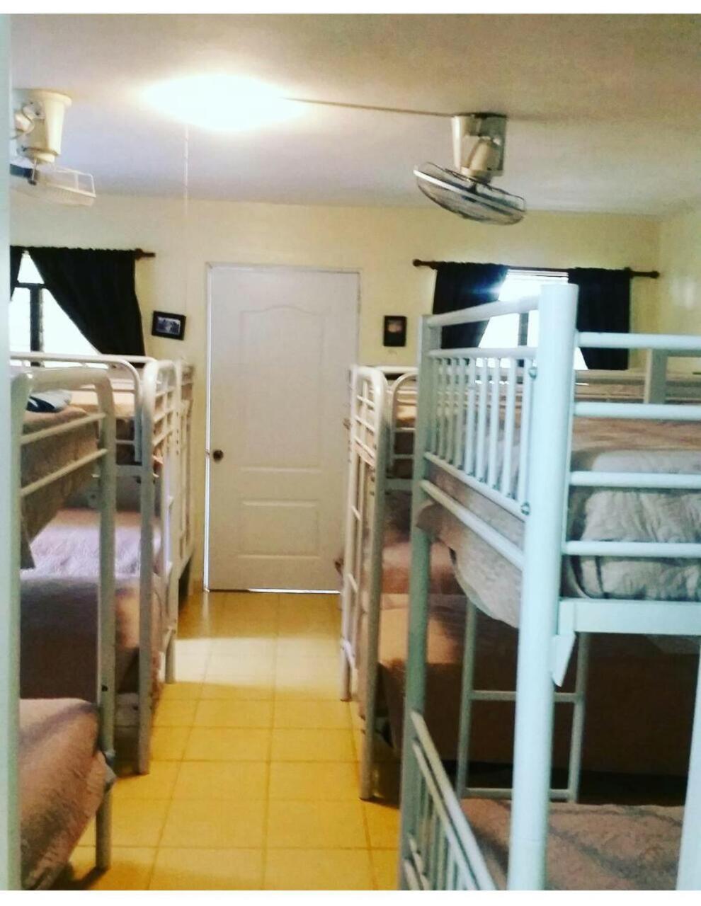 Bunk Bed in Mixed Dormitory Room photo 2