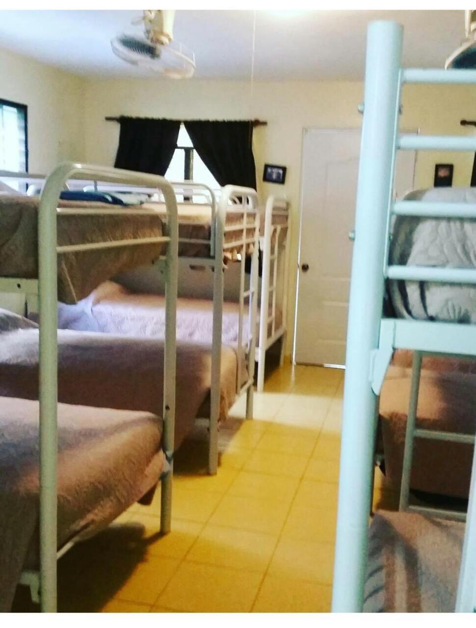 Bunk Bed in Mixed Dormitory Room photo 3