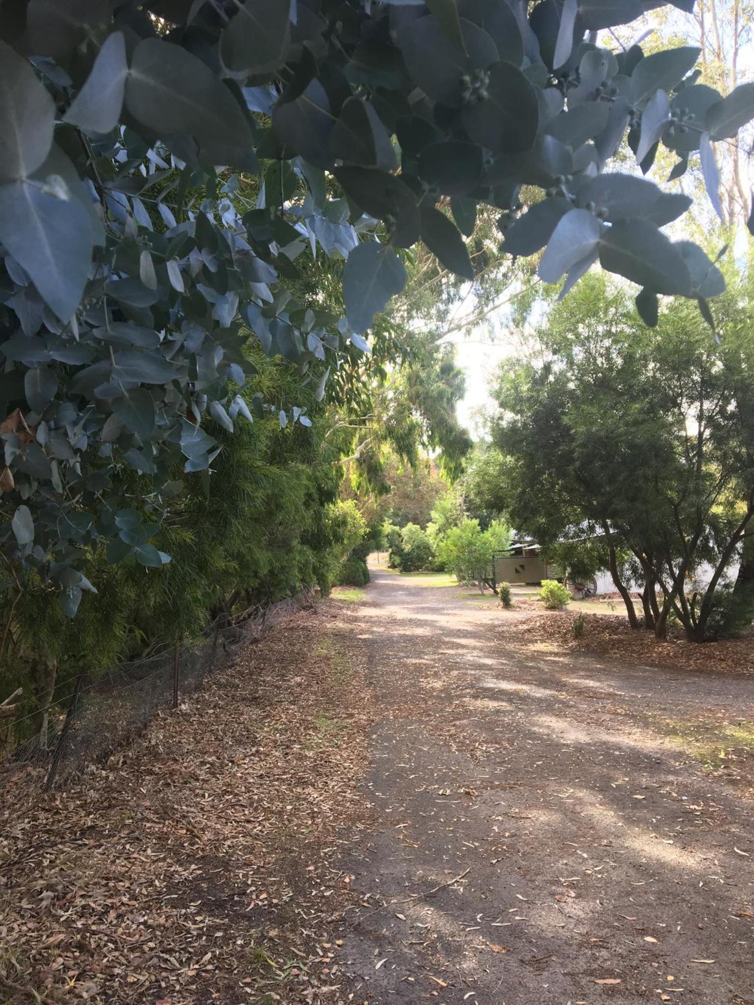 Vacation Home photo 3