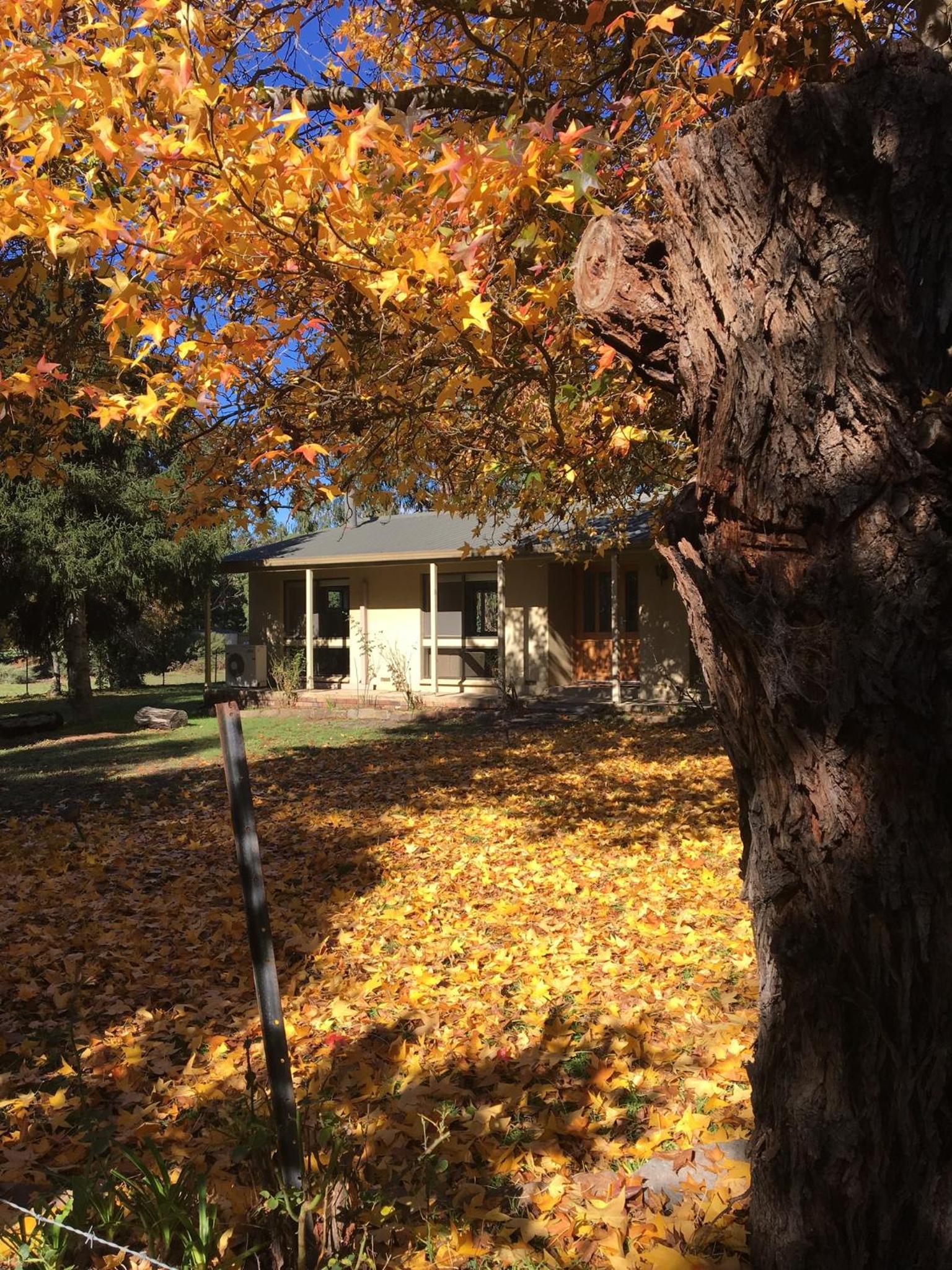 Vacation Home photo 2