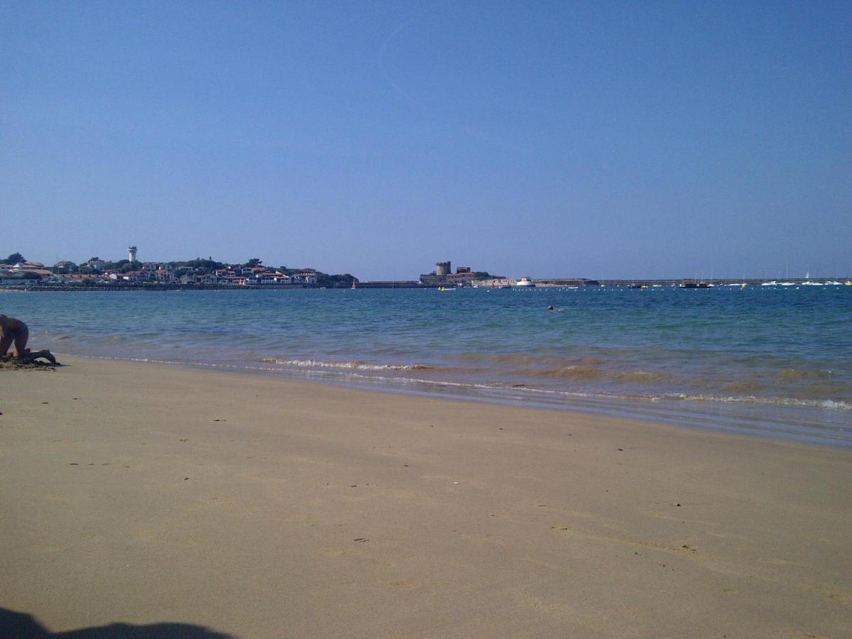 Studio Apartment with Sea View photo 1