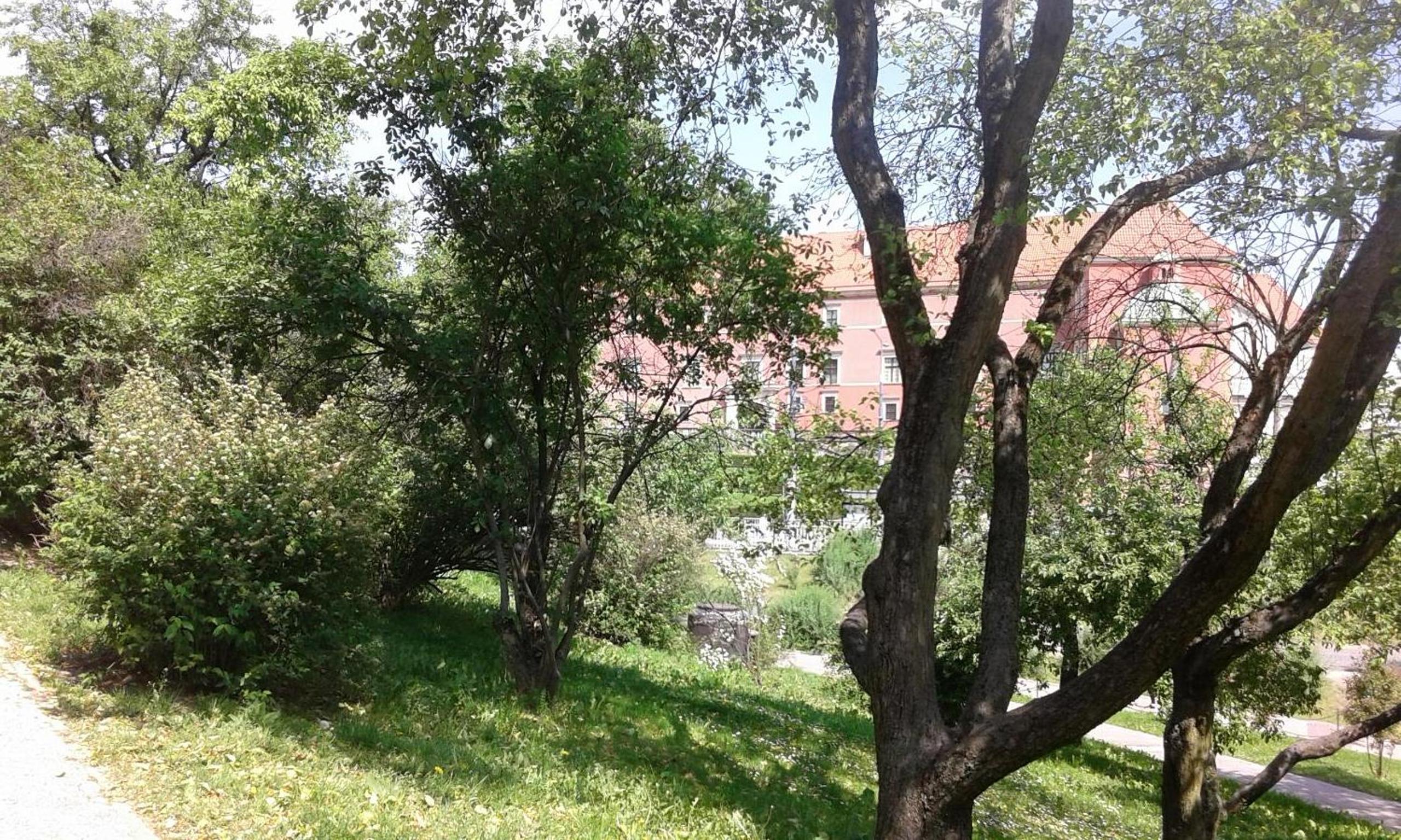 Apartment - Photo 43