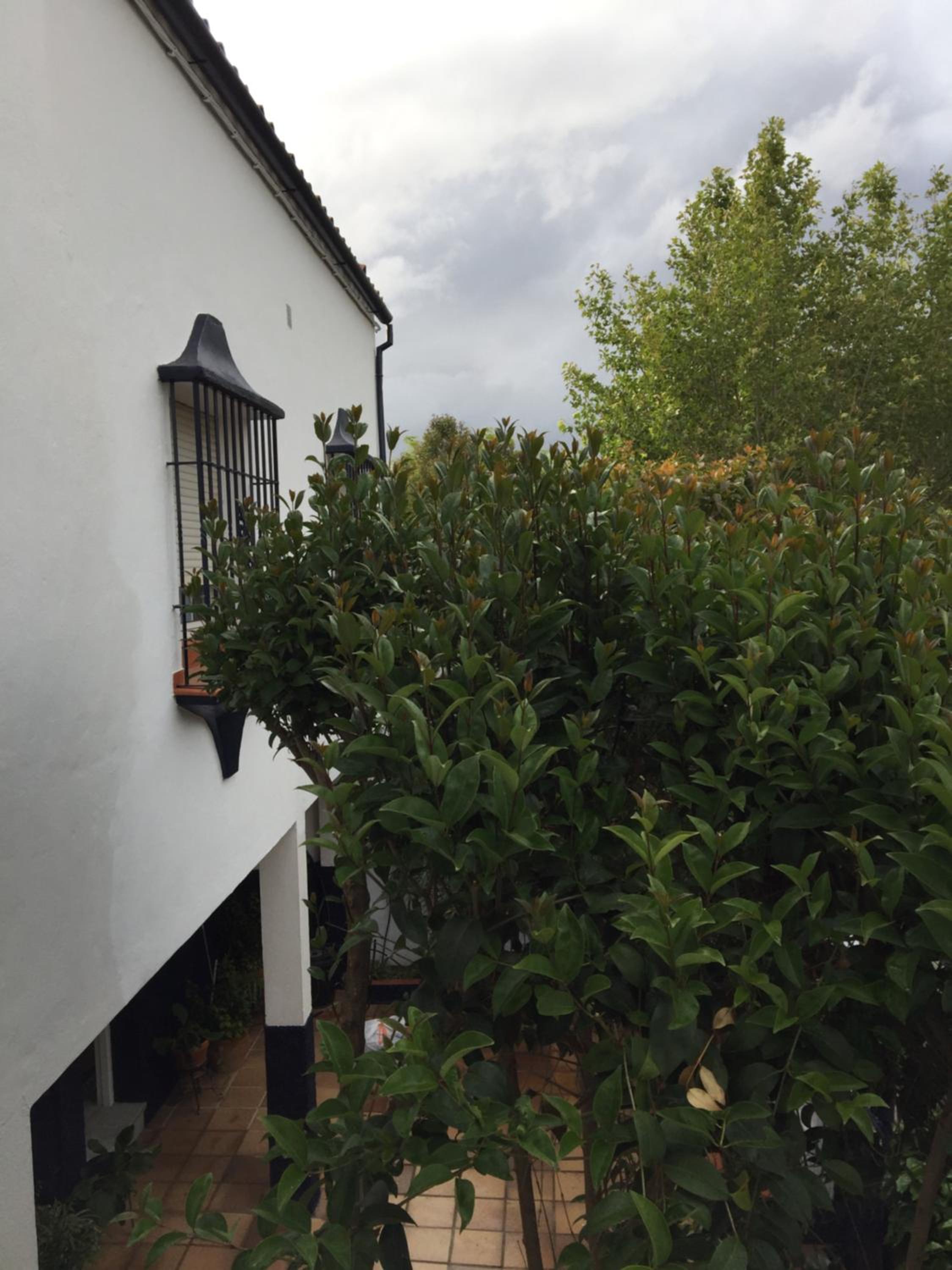 Vacation Home - Photo 20