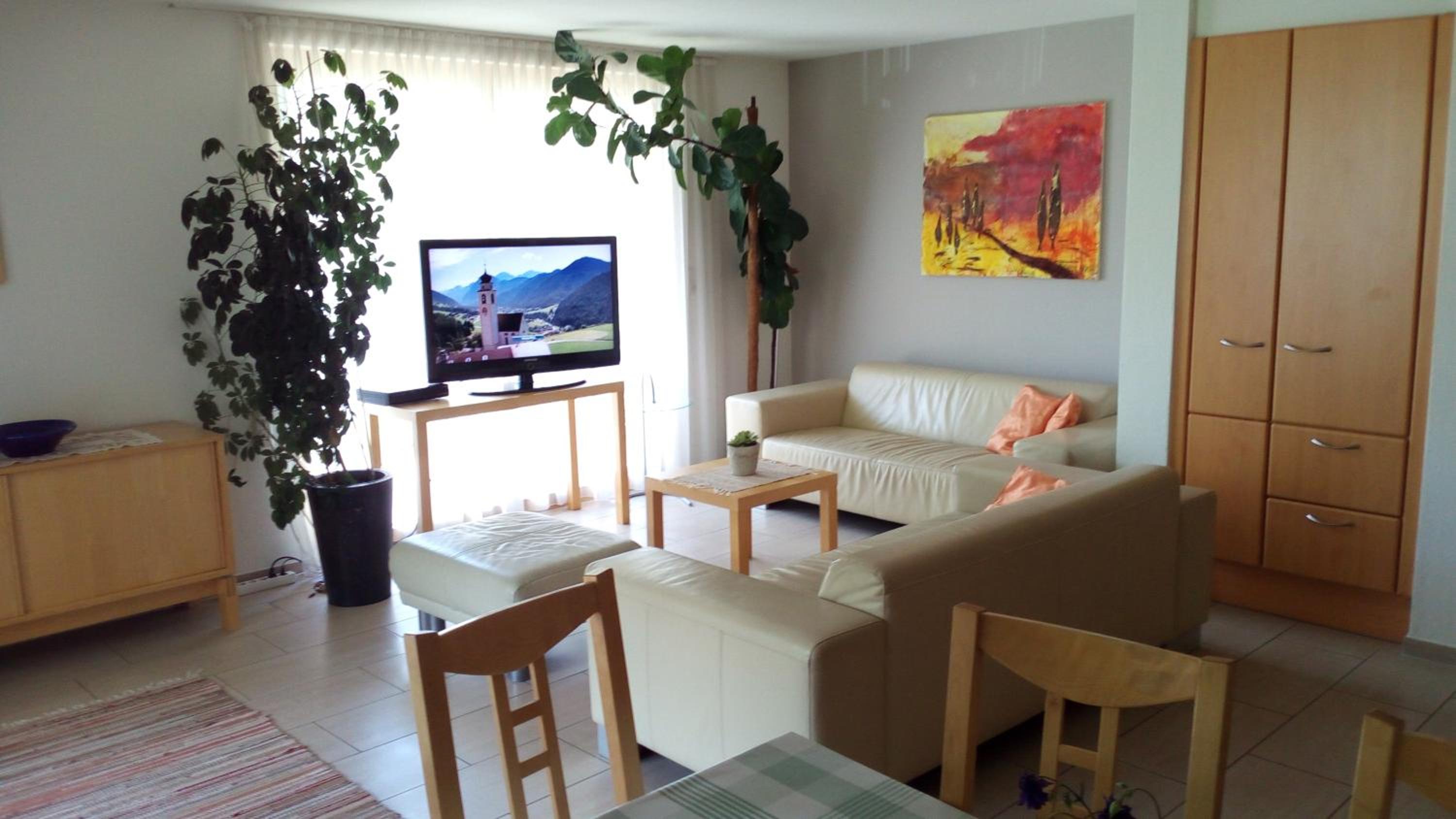 Apartment with Mountain View photo 3