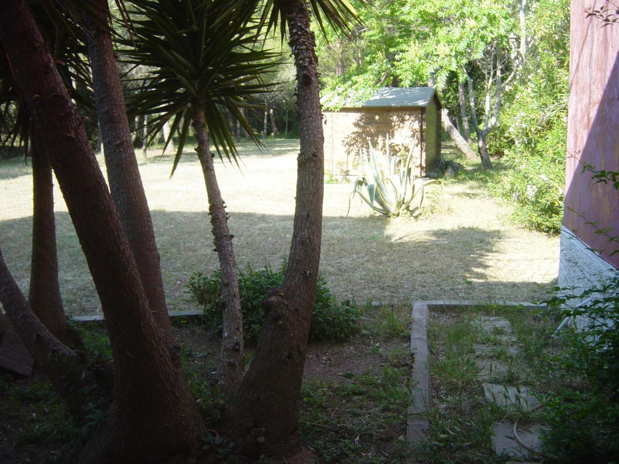 Apartment with Garden View photo 2
