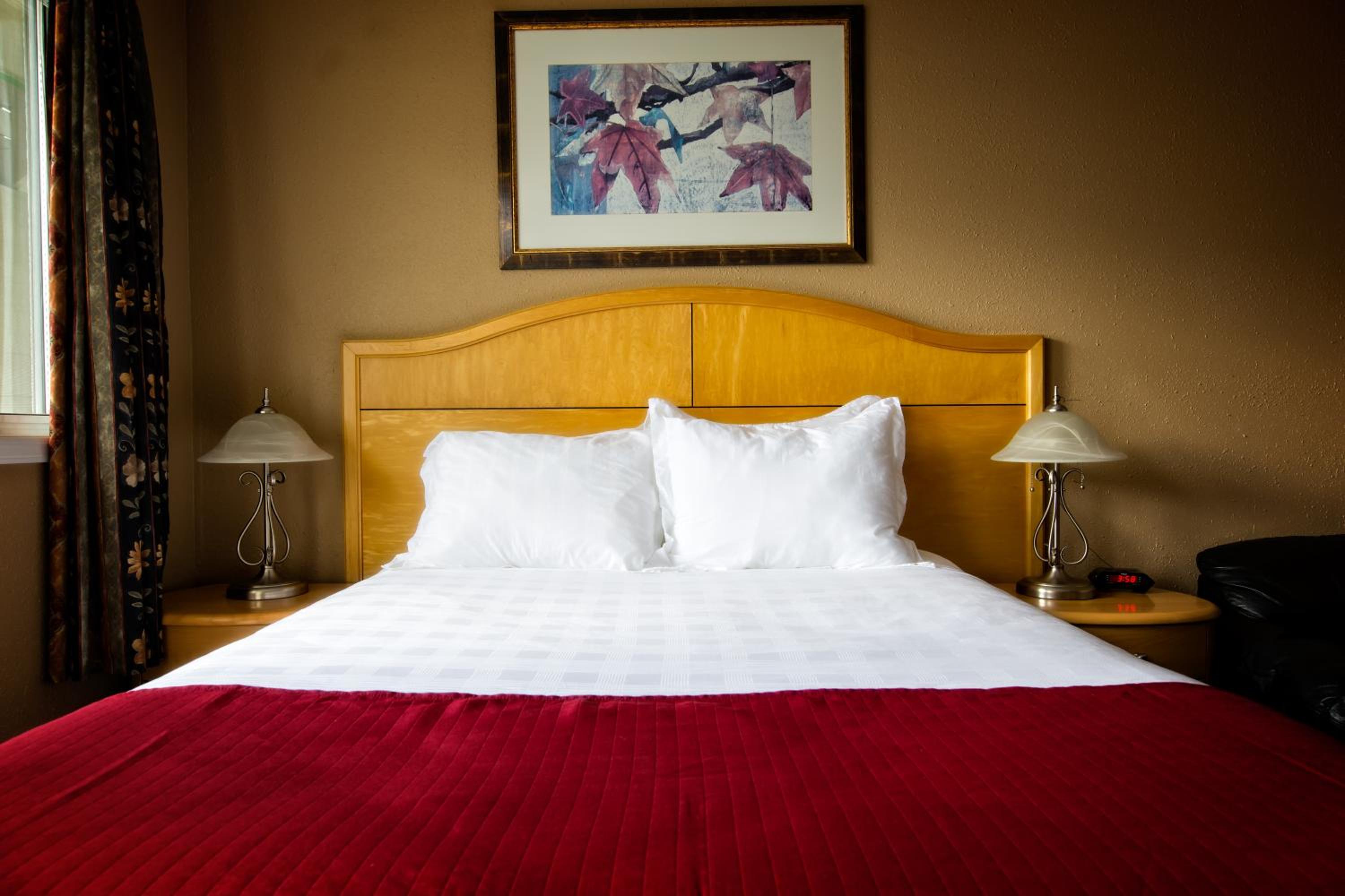 Deluxe Queen Room - Photo 2