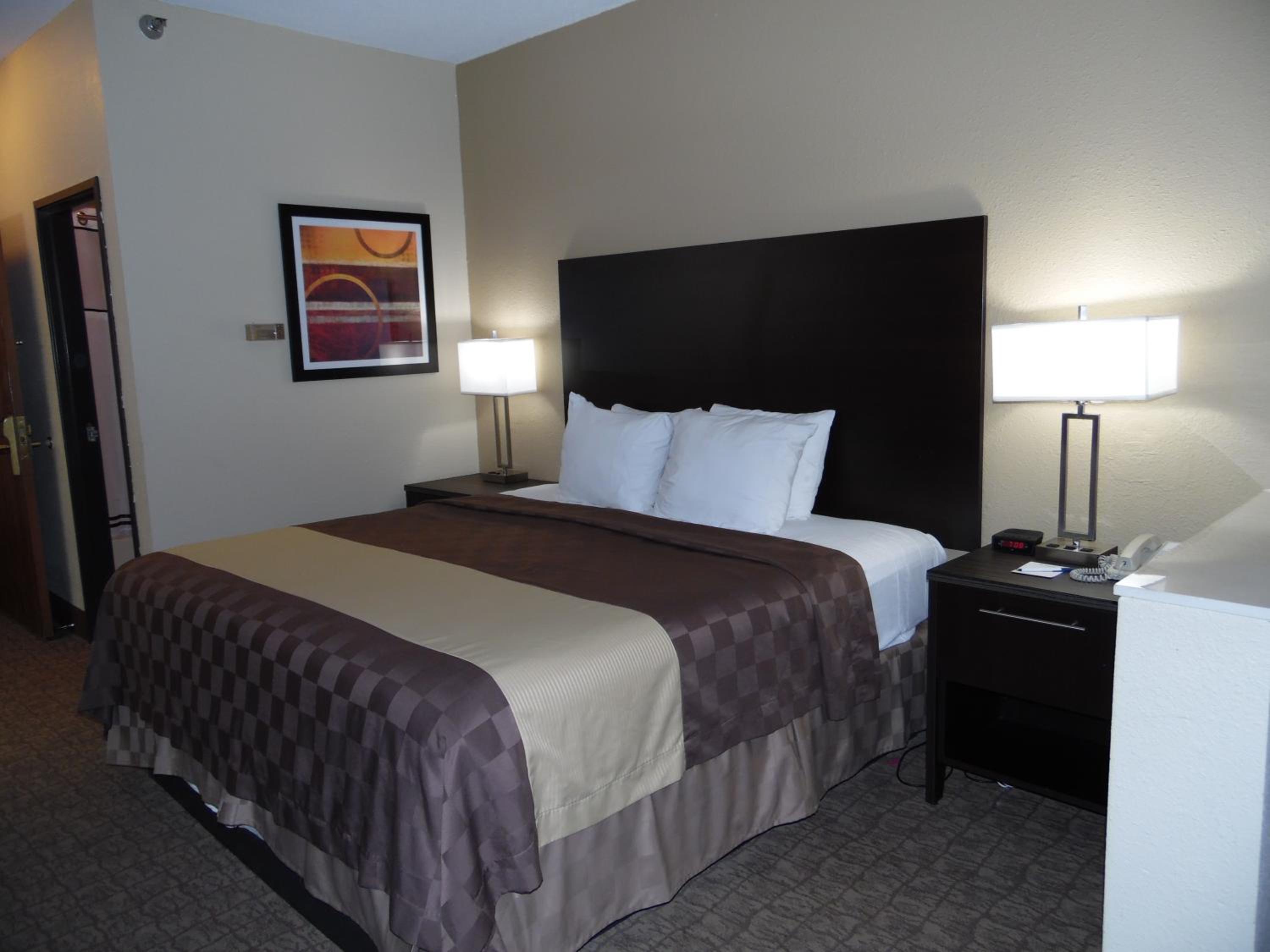 King Room with Roll-in Shower - Pet Friendly/Mobility Accessible - Photo 7