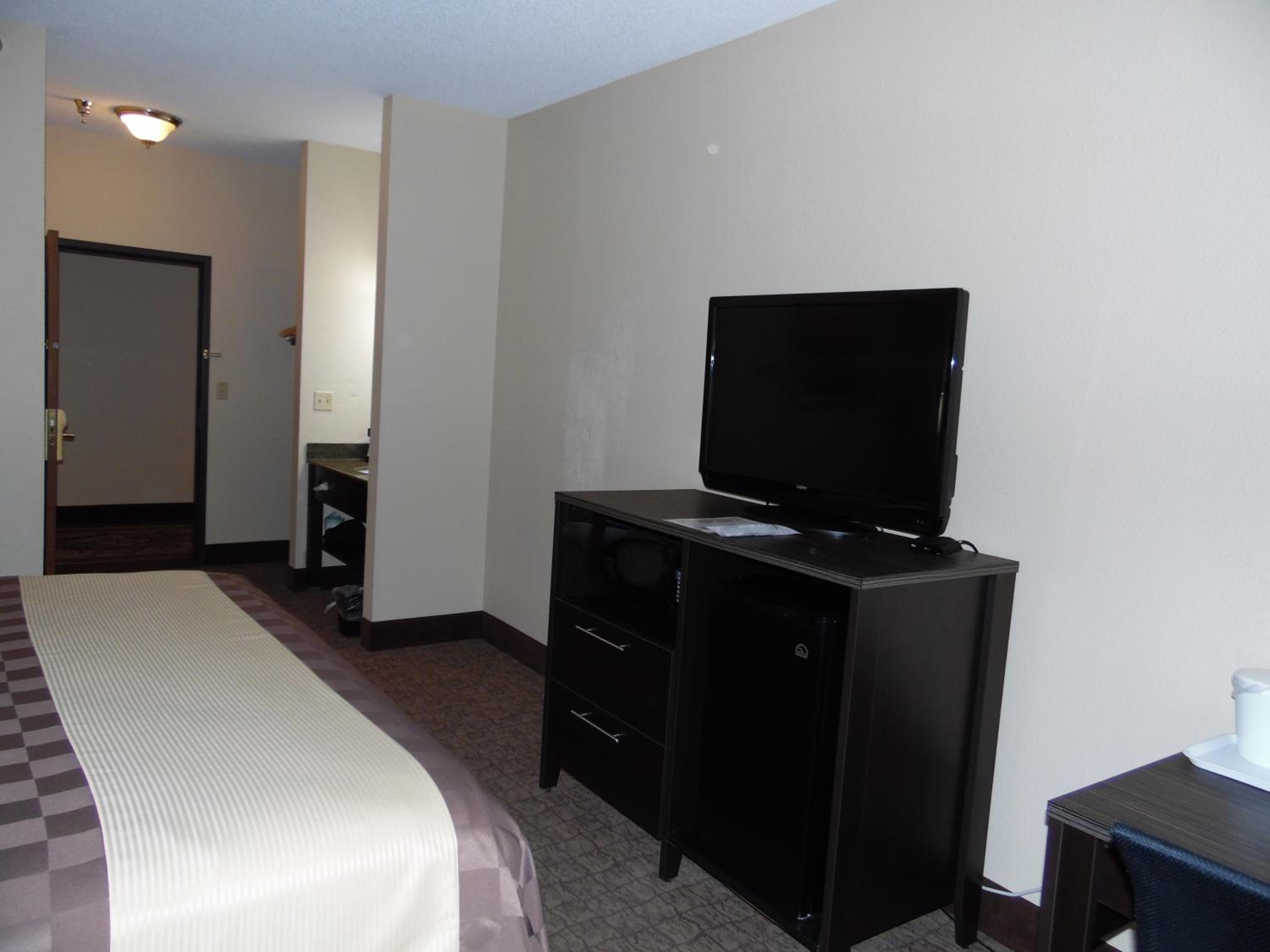 King Room with Roll-in Shower - Pet Friendly/Mobility Accessible - Photo 4