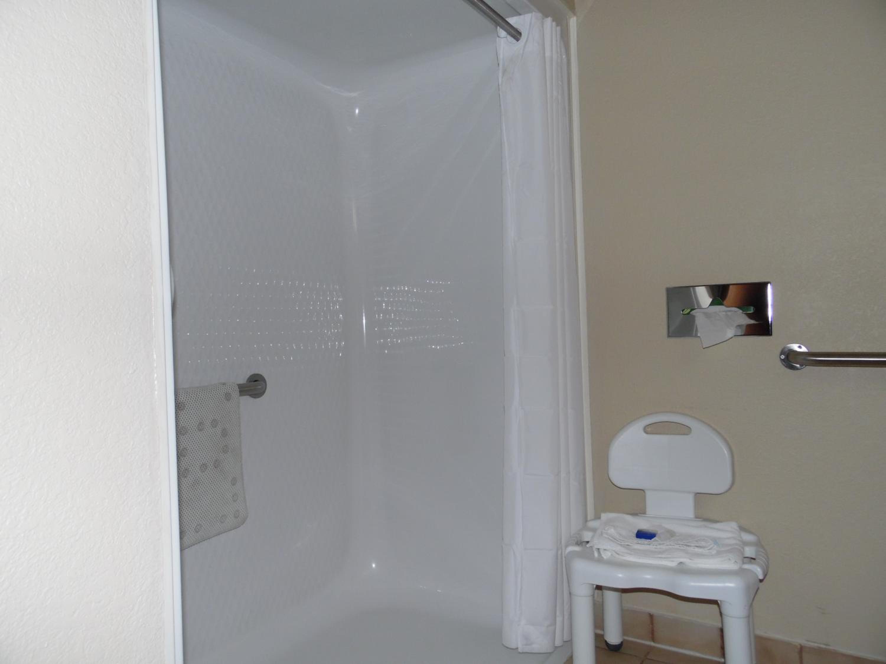 King Room with Roll-in Shower - Pet Friendly/Mobility Accessible - Photo 5