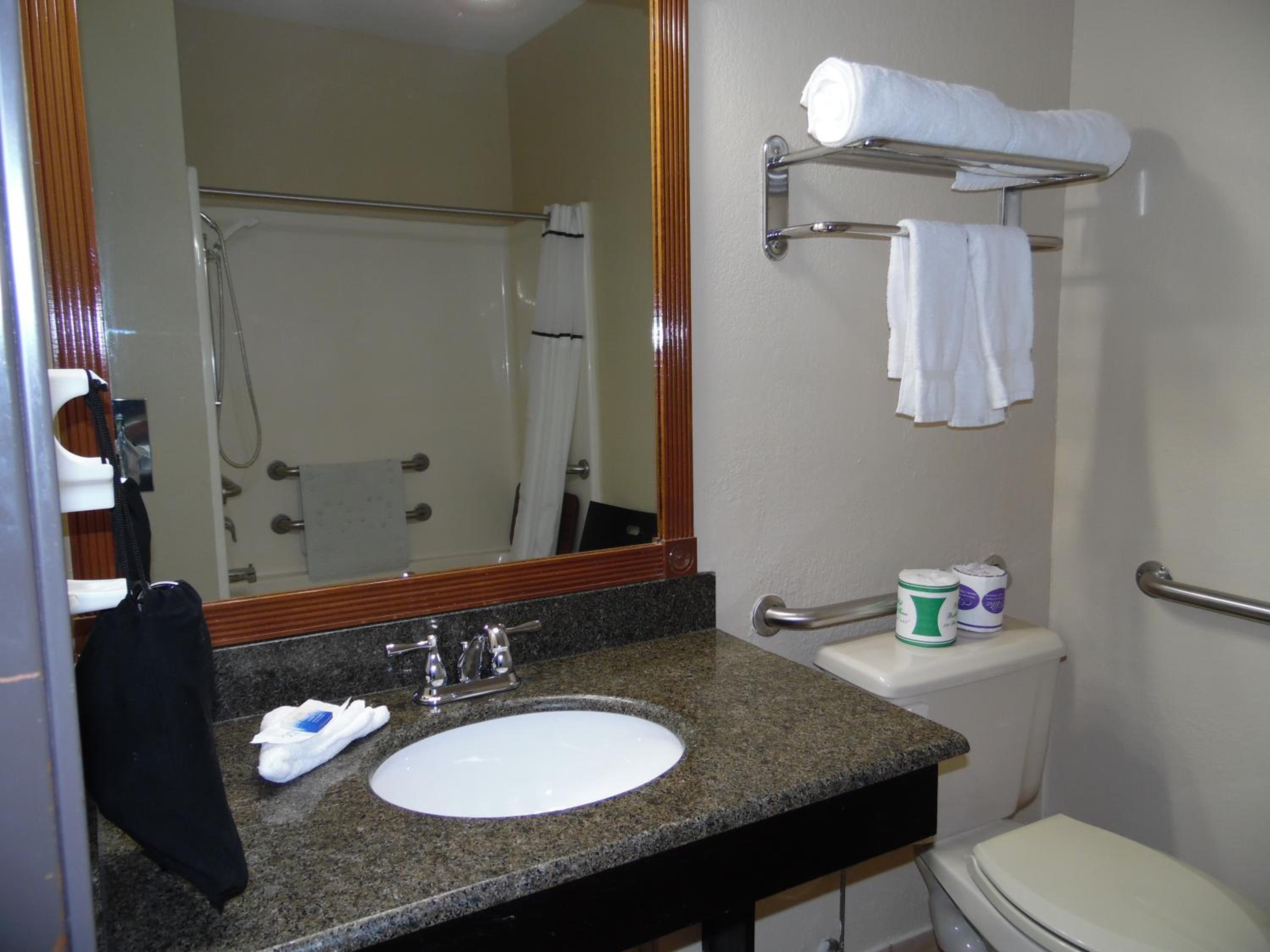 King Room with Roll-in Shower - Pet Friendly/Mobility Accessible - Photo 6