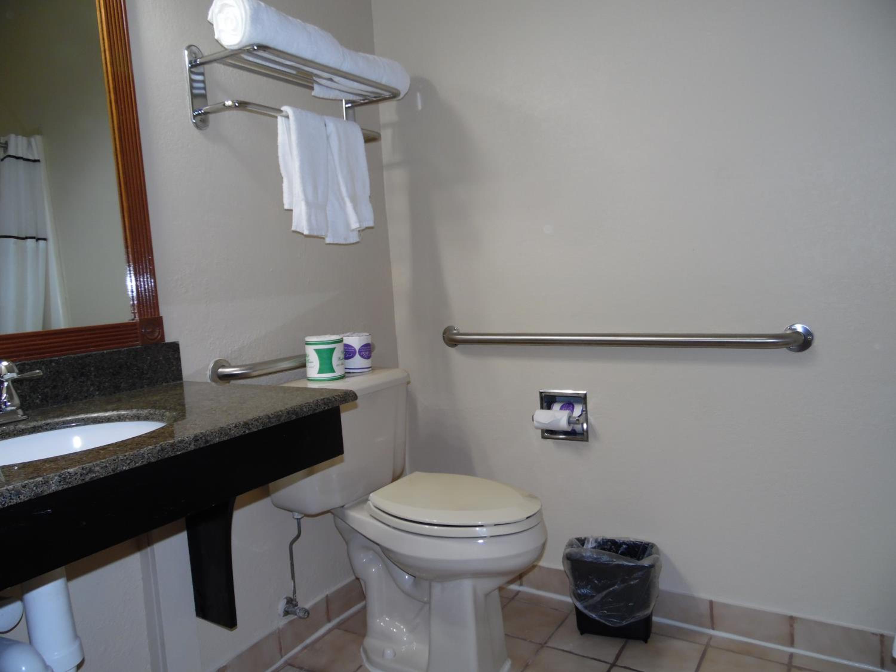 King Room with Bath - Pet Friendly/Mobility Accessible - Photo 4