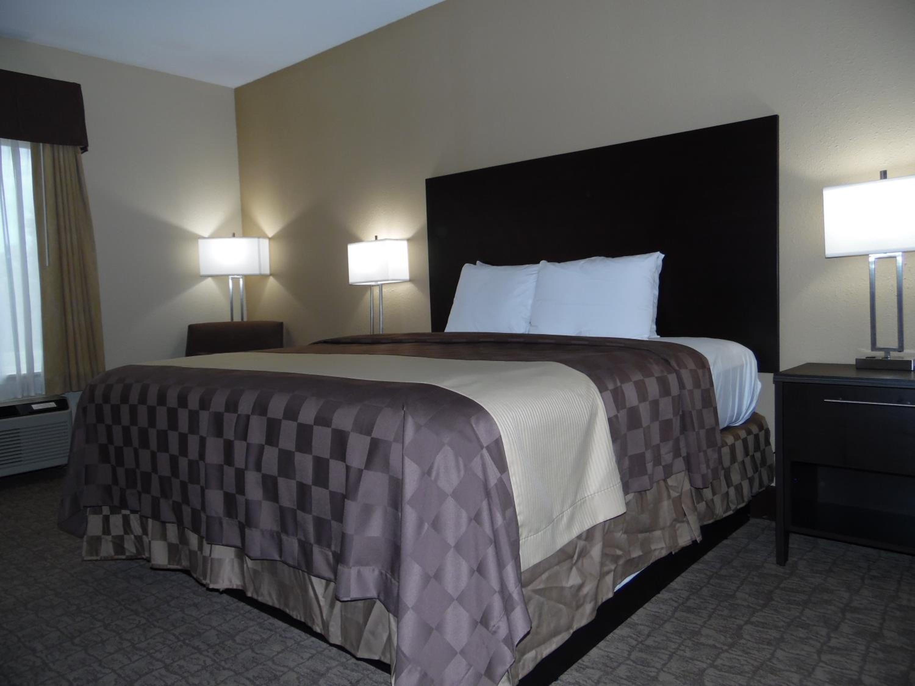 King Room - Non-Smoking - Photo 6