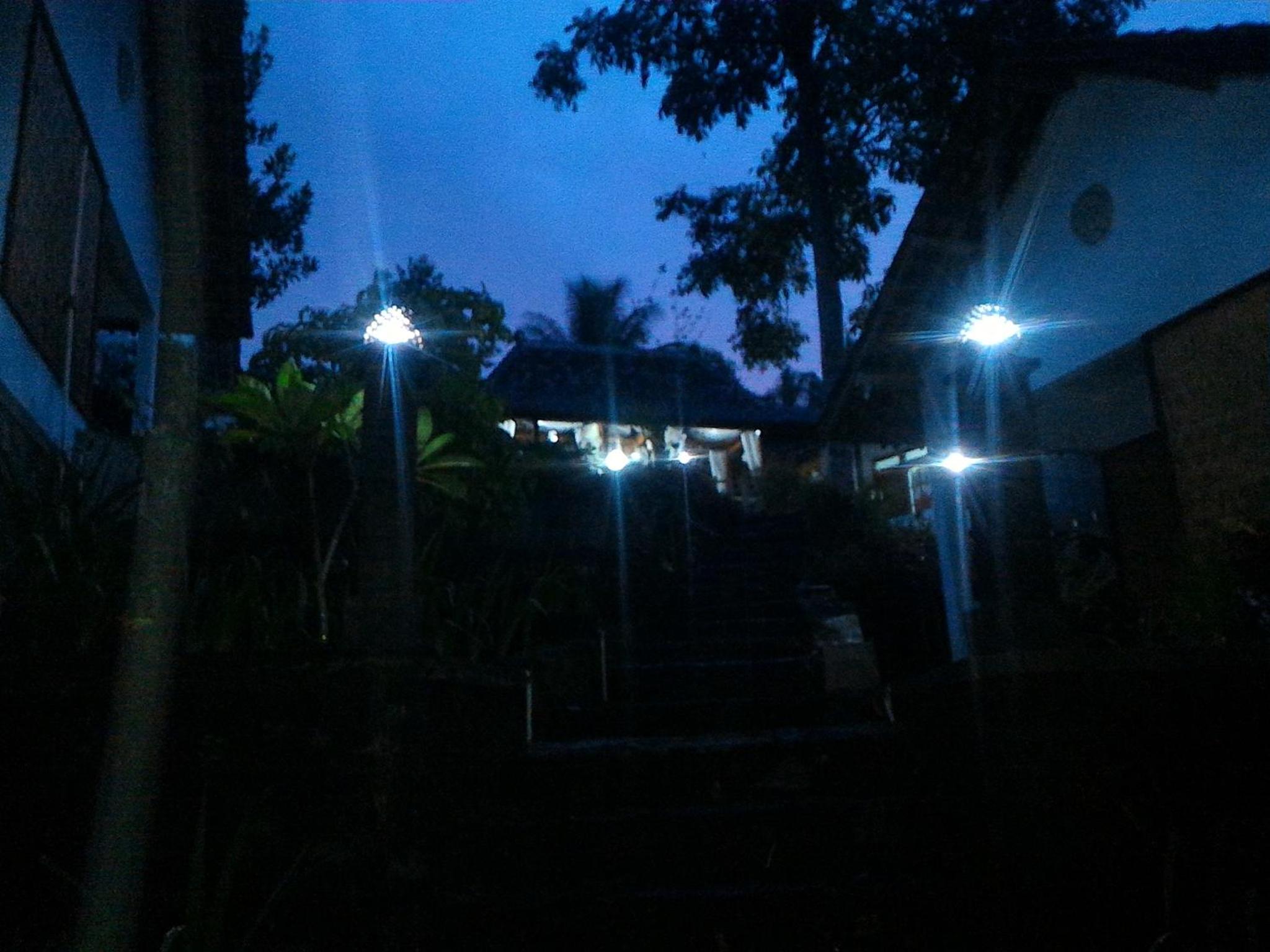 Family Bungalow - Photo 4
