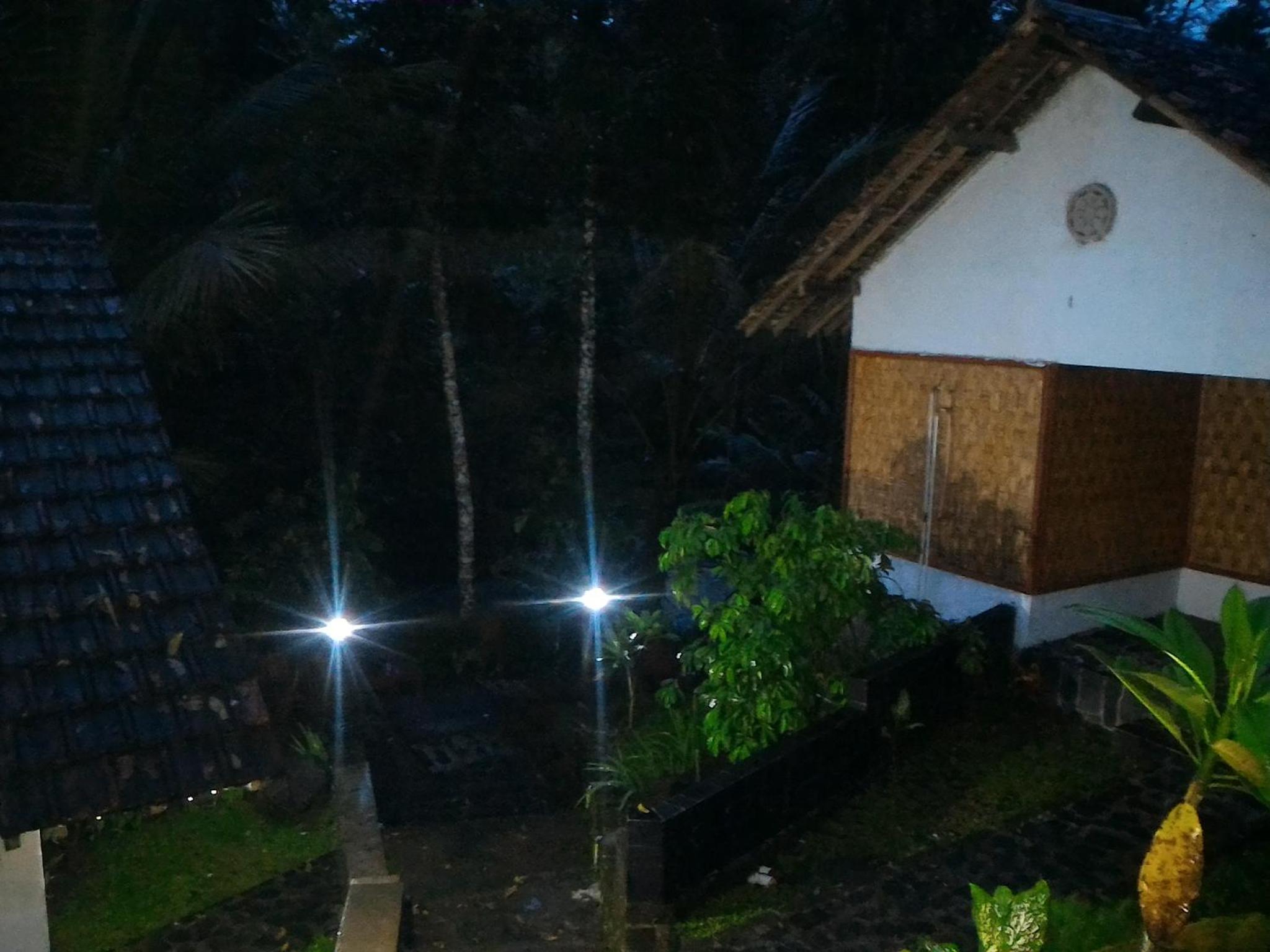 Family Bungalow - Photo 5