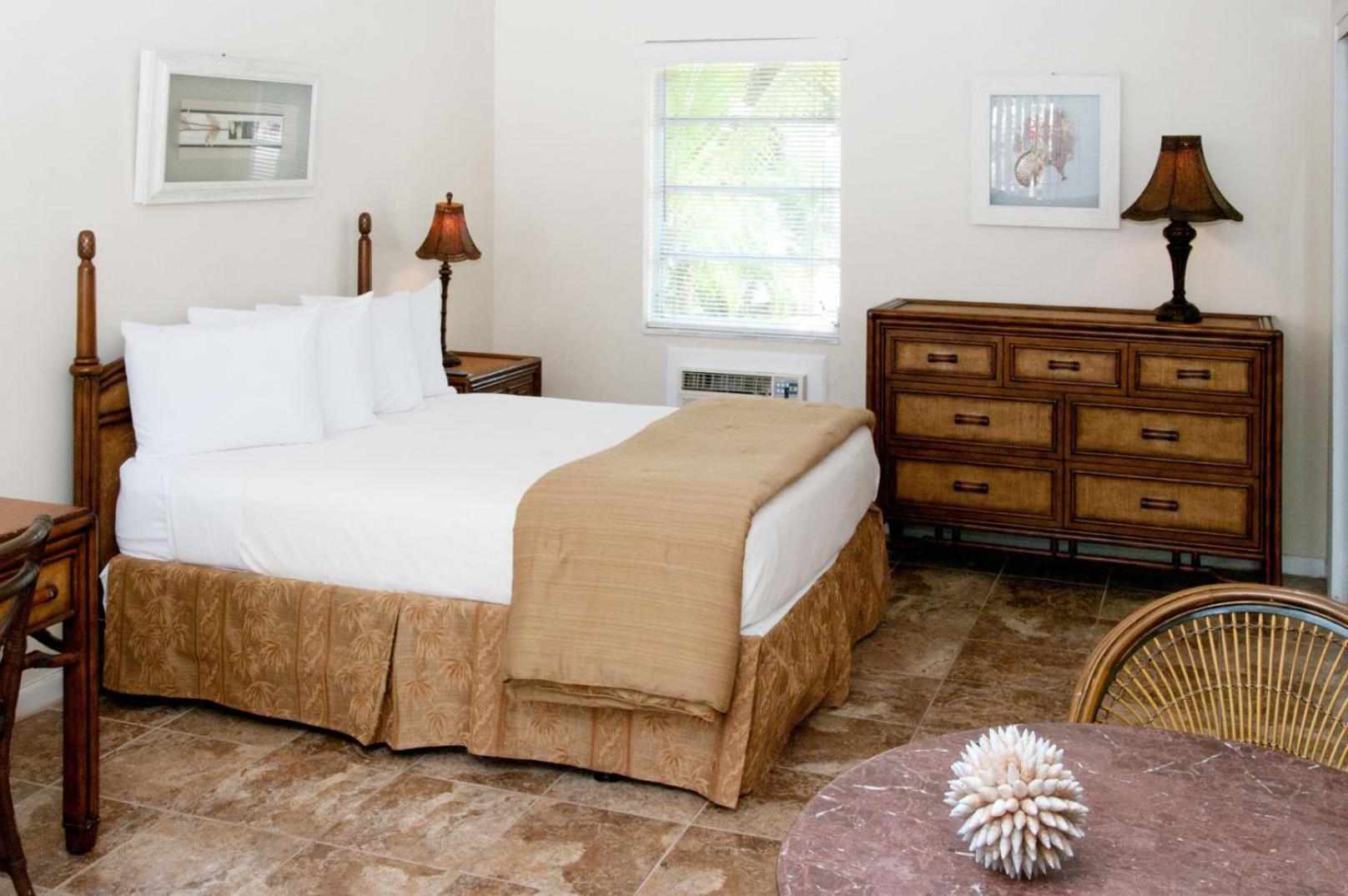 Studio Suite - Photo 1