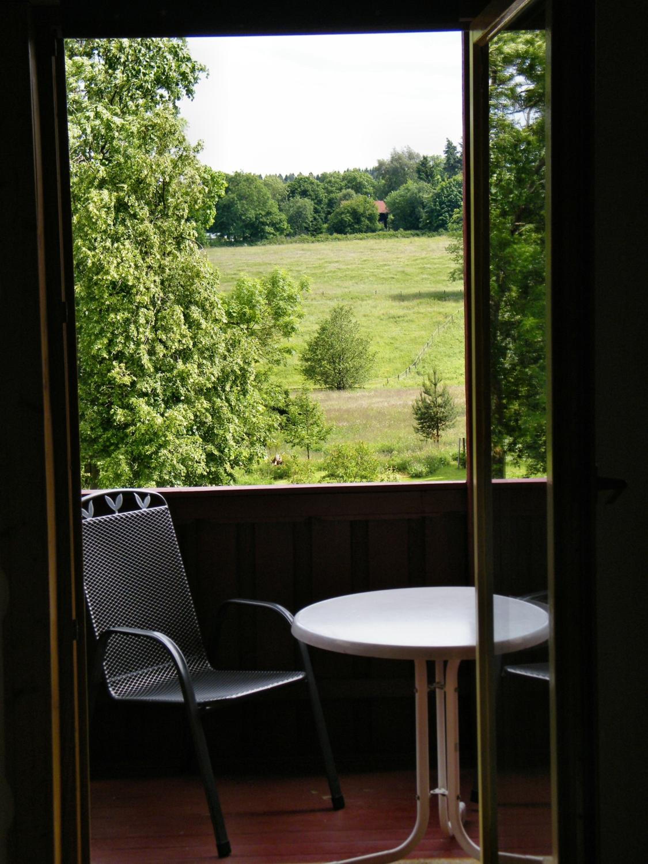 Standard One-Bedroom Apartment with Balcony photo 2