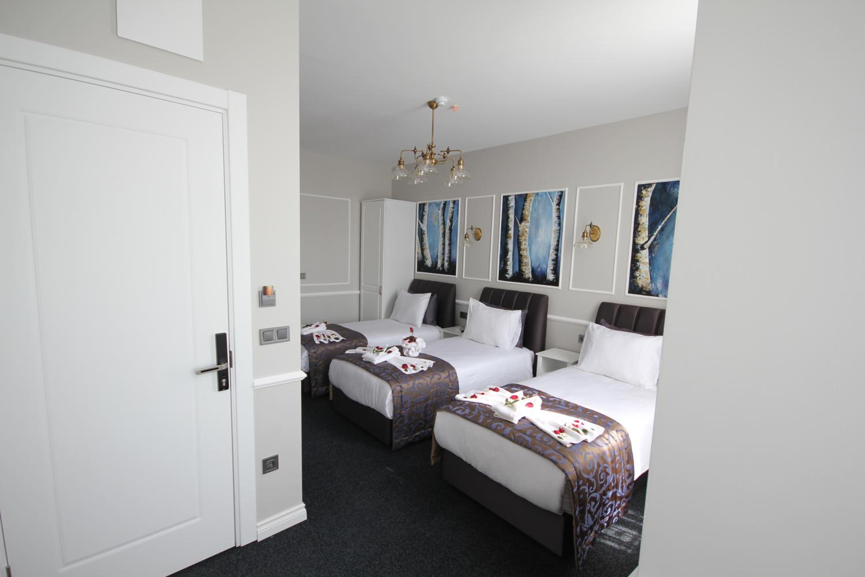 Triple Room photo 2