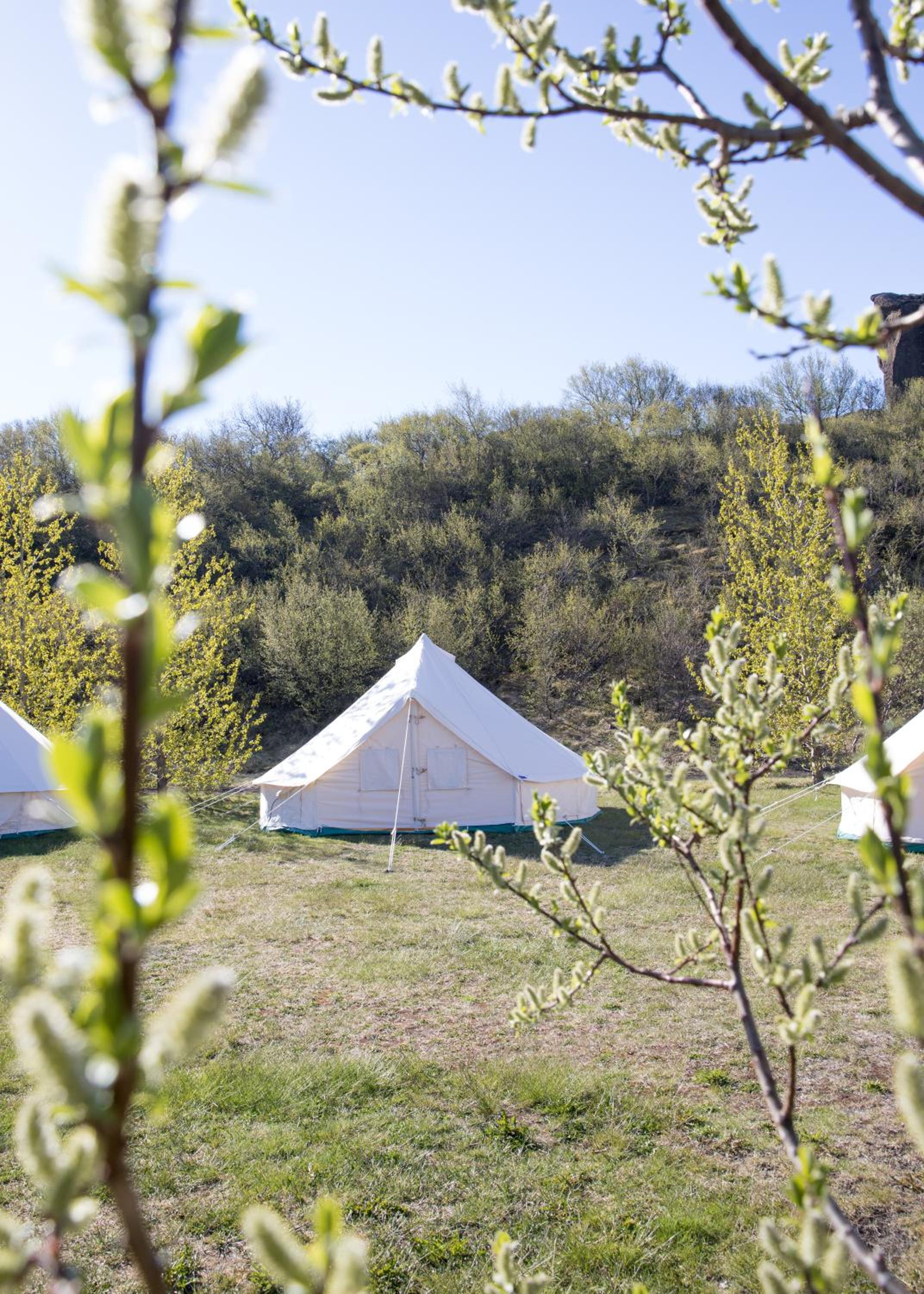 Glamping Tent - Photo 1