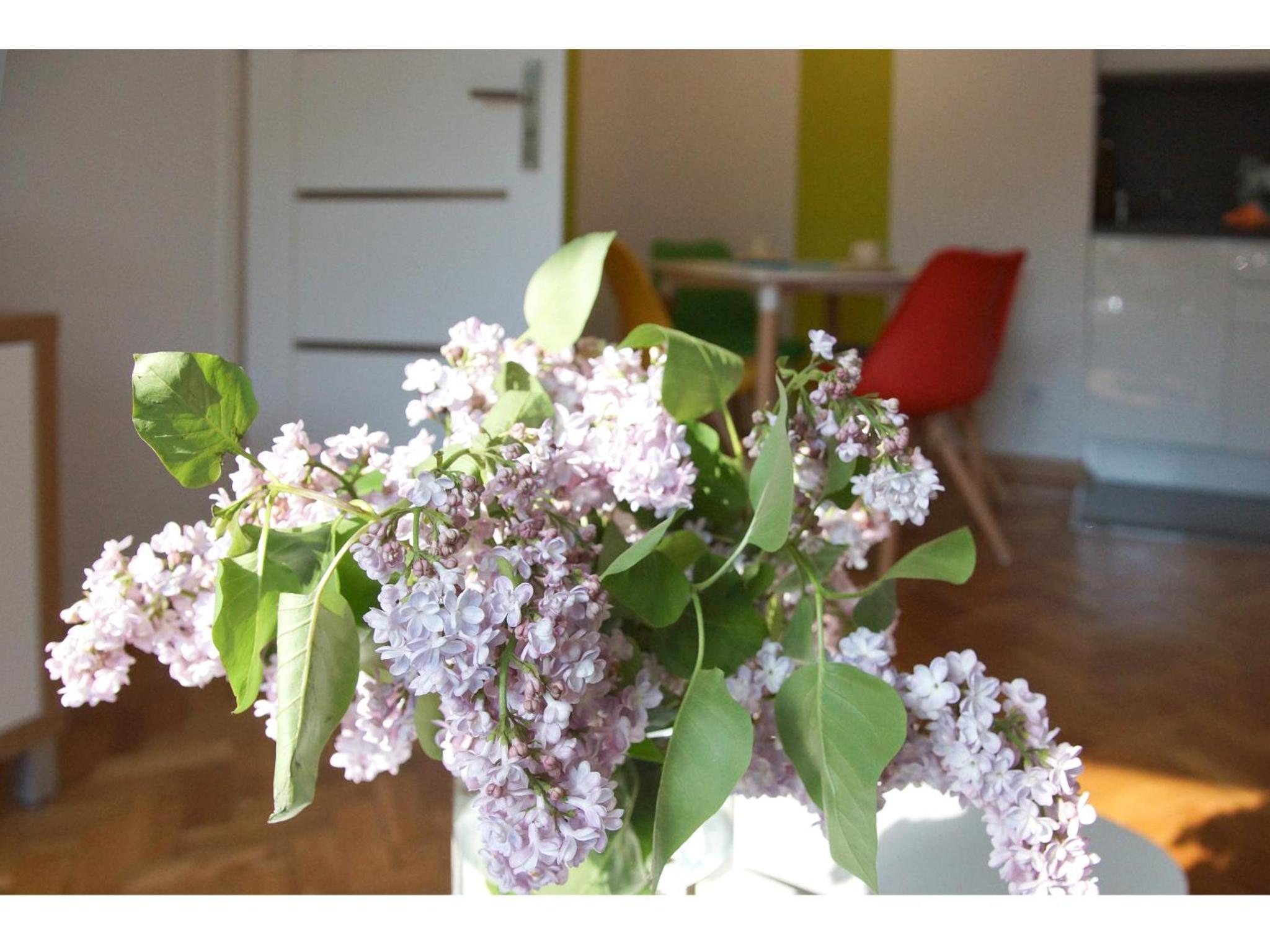 One-Bedroom Apartment - Photo 25