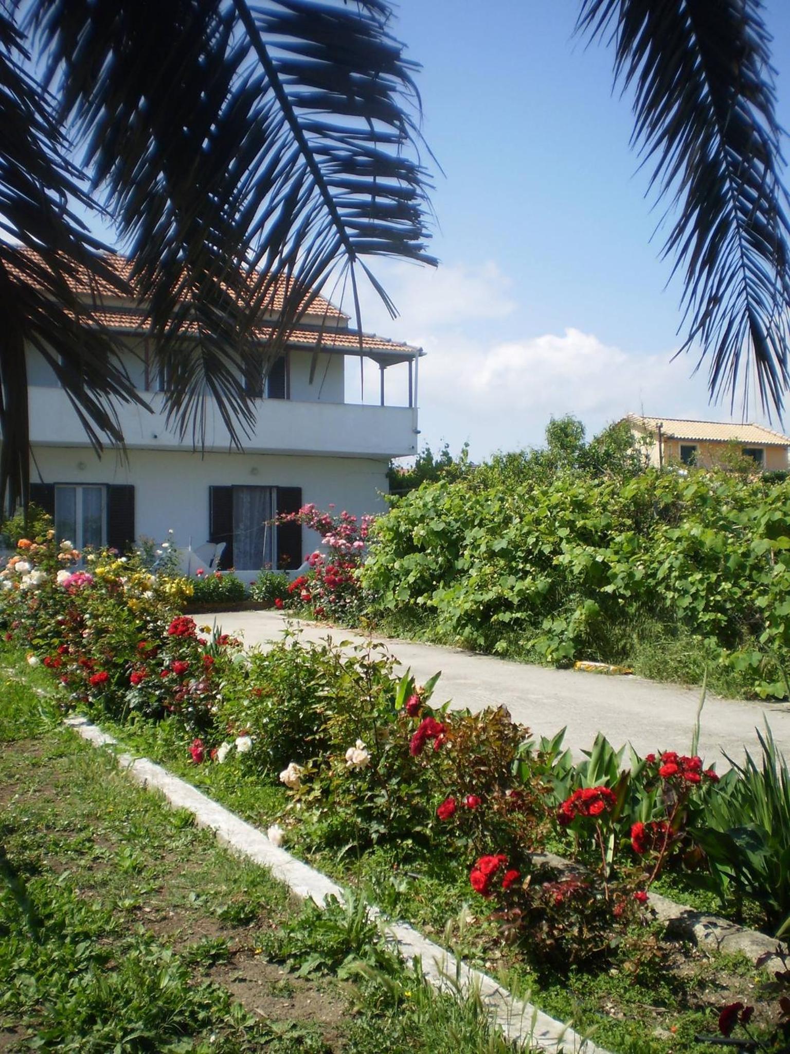 Apartment with Sea View photo 3