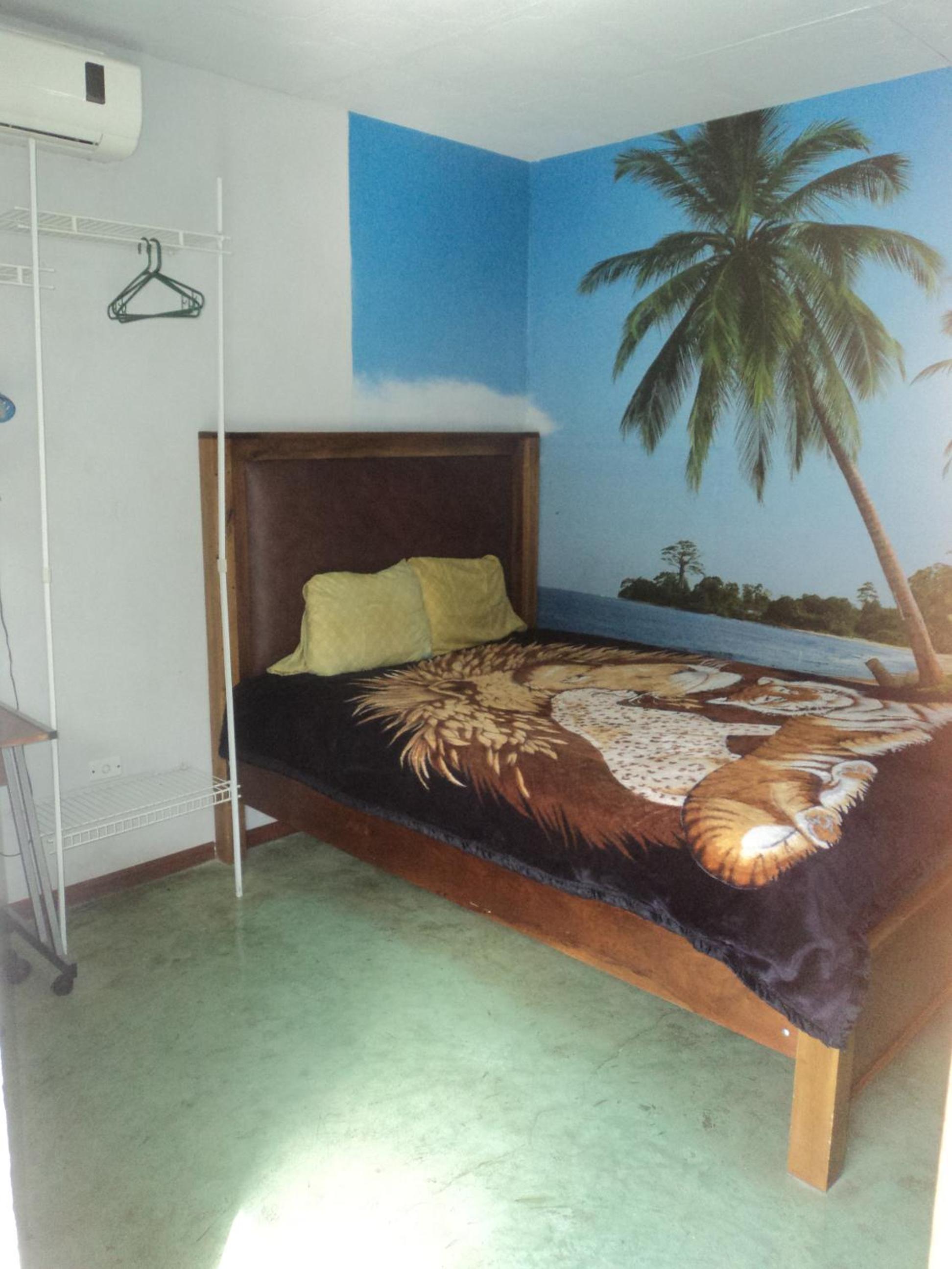 Deluxe Single Room photo 1