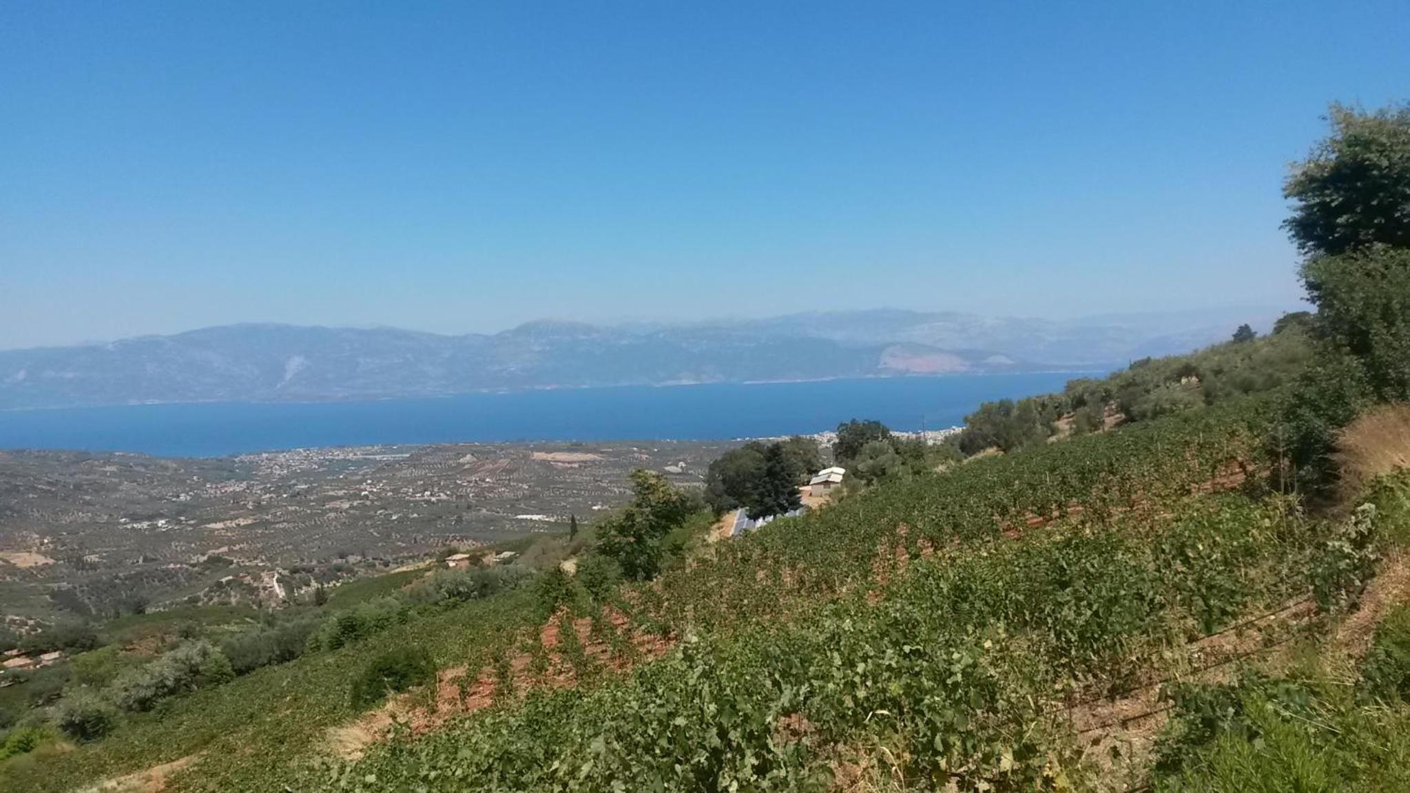 Holiday Home photo 3