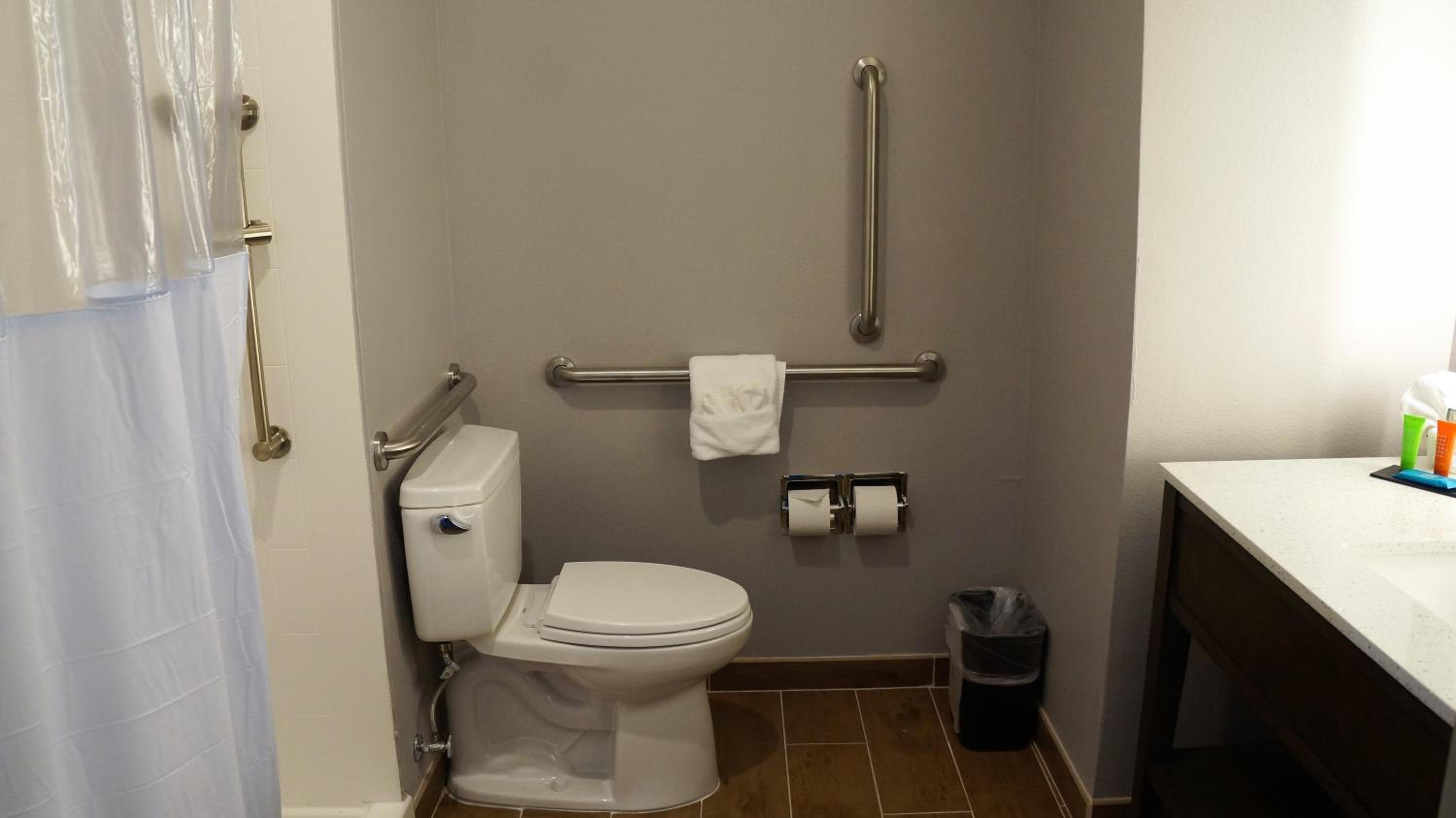 Deluxe Single King Room with Sofa Bed- Hearing Accessible - Photo 5