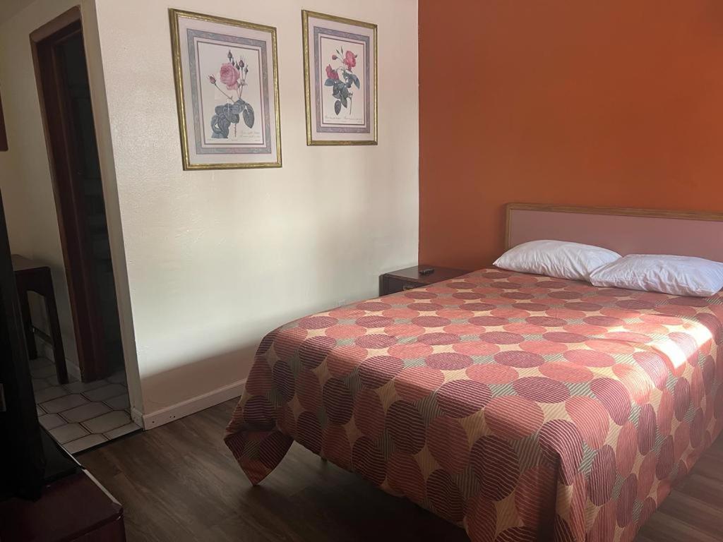 Budget Single Room
