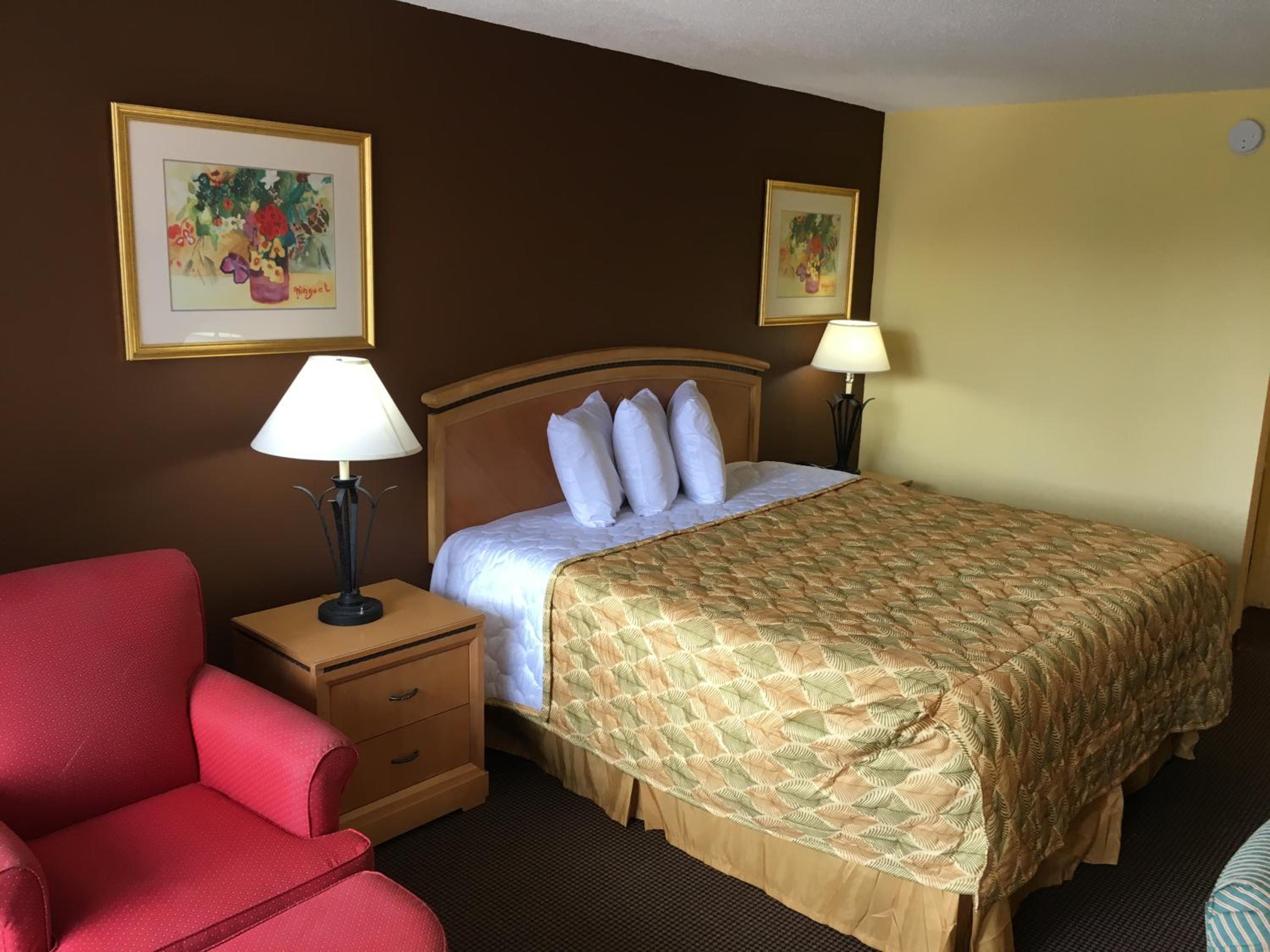 King Room photo 1