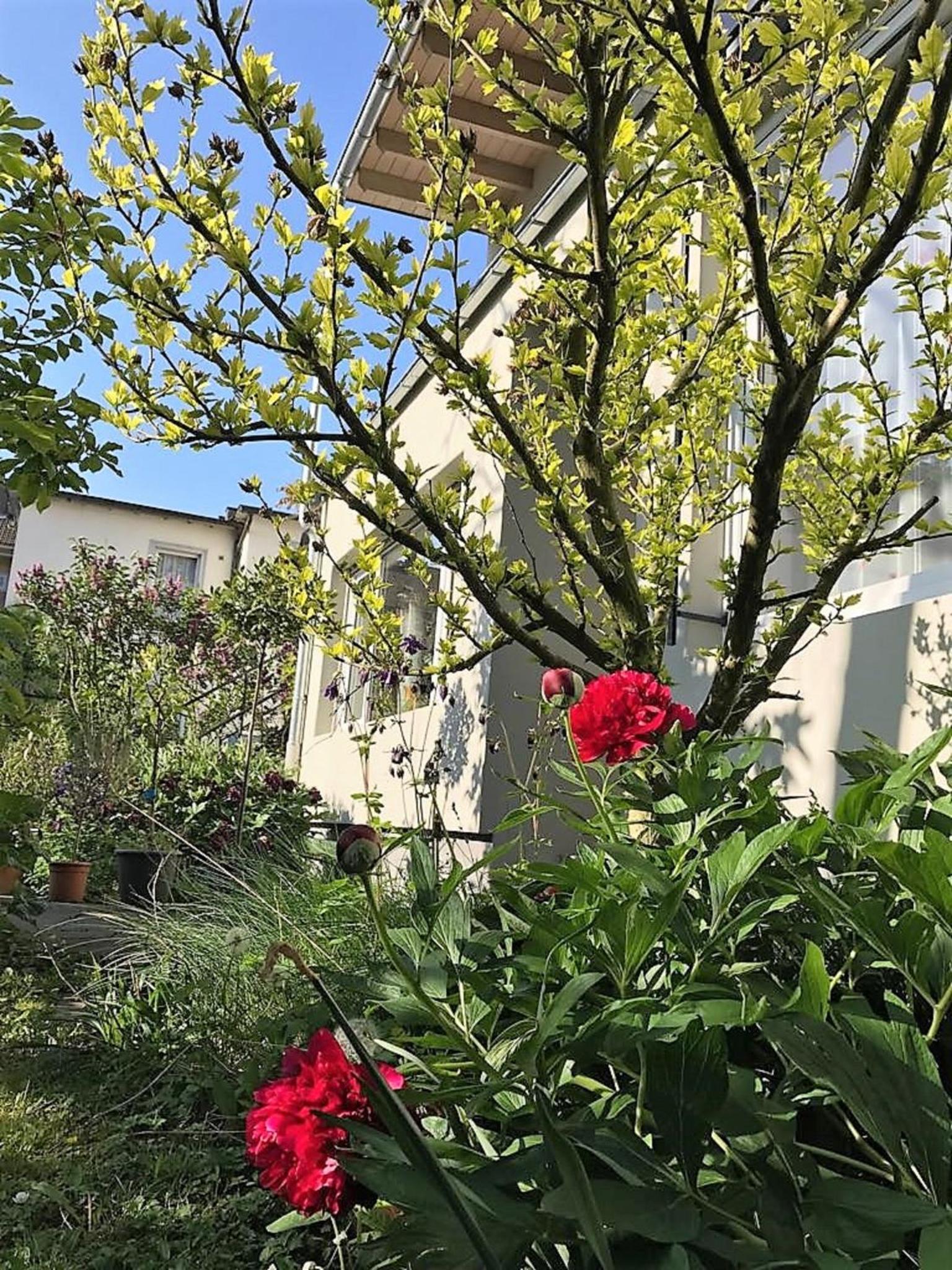 Apartment With Garden View photo 2