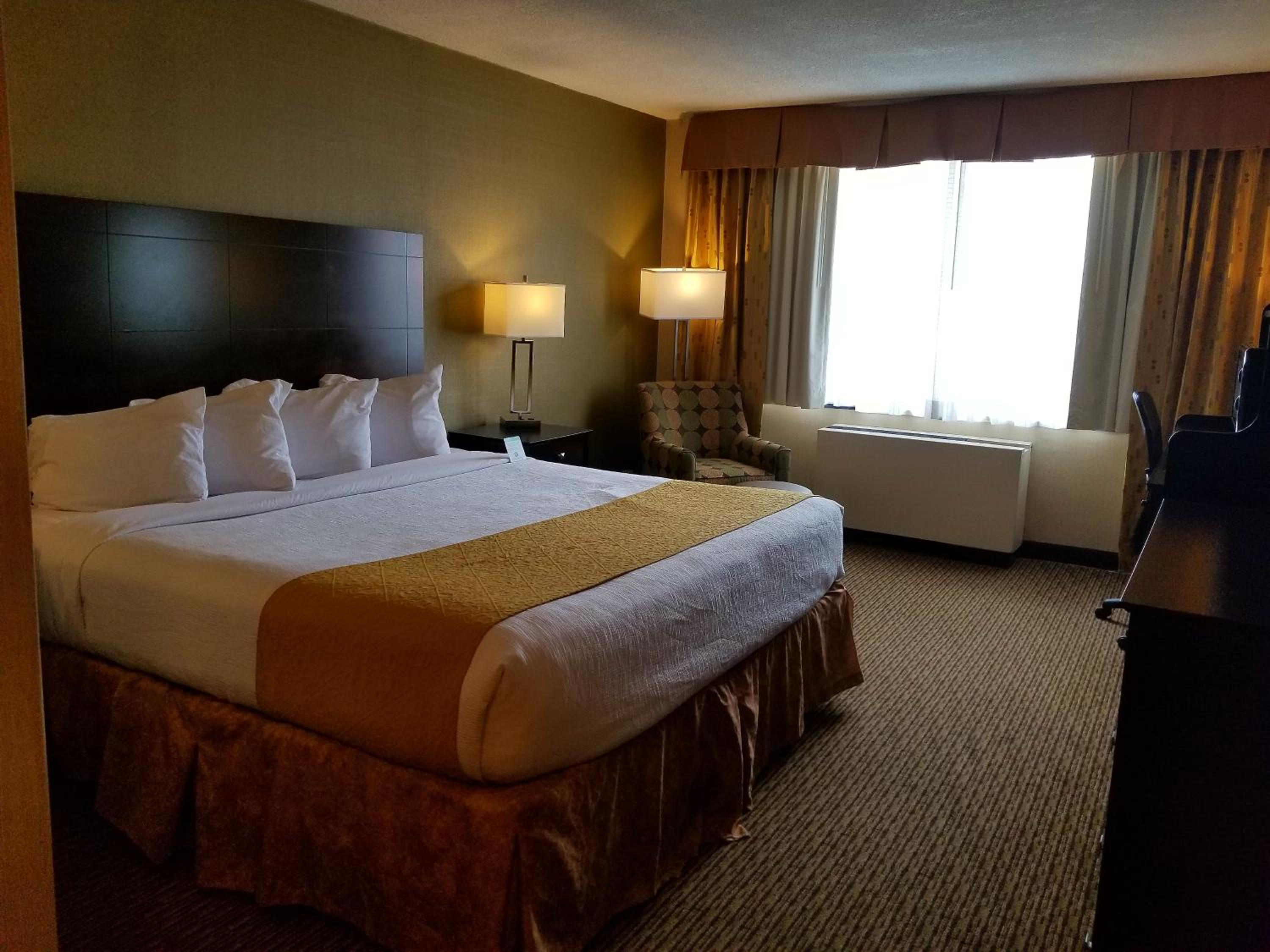 King Room - Non-Smoking - Photo 5
