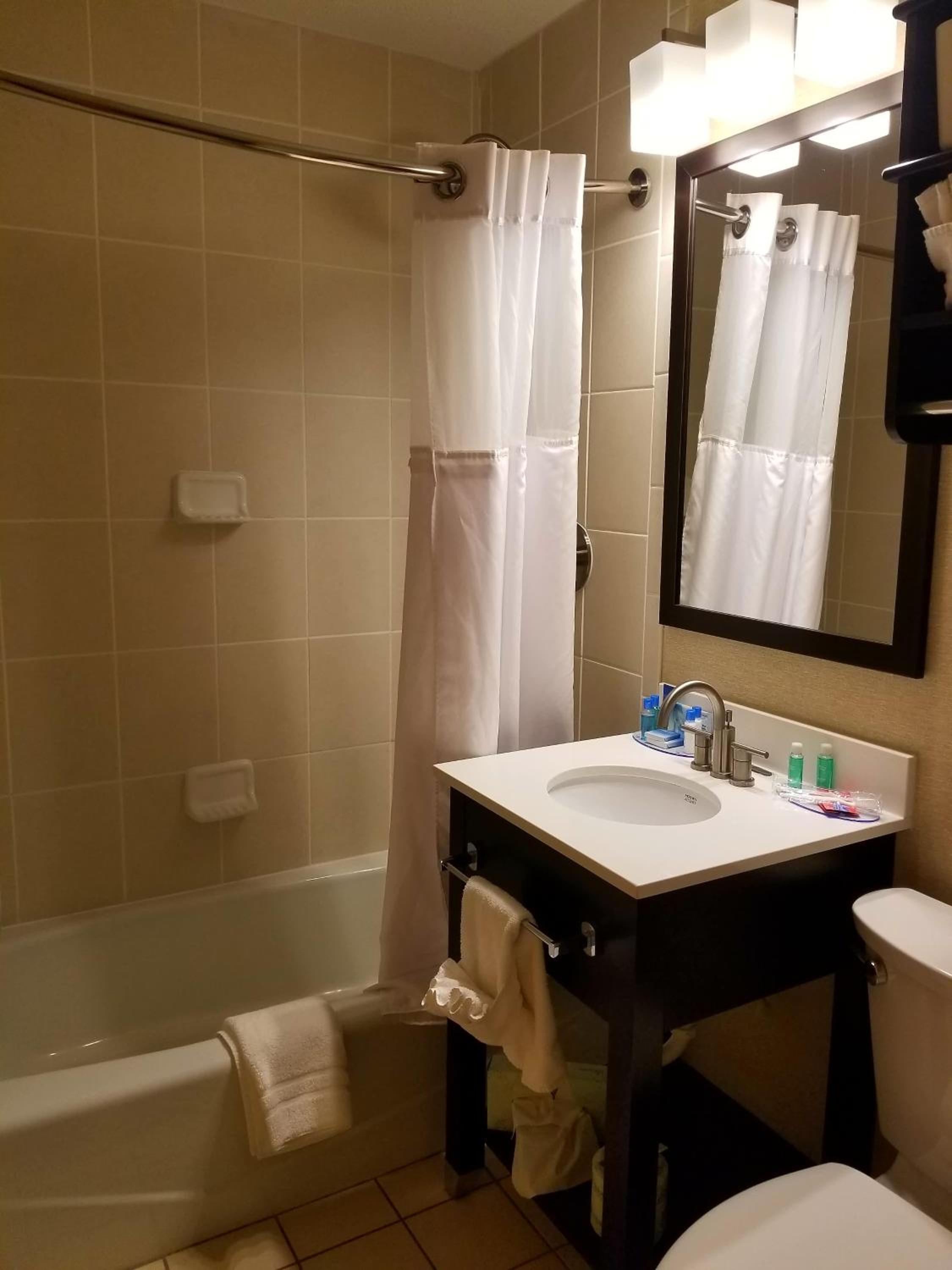One-Bedroom King Suite with Sofa Bed - Photo 10
