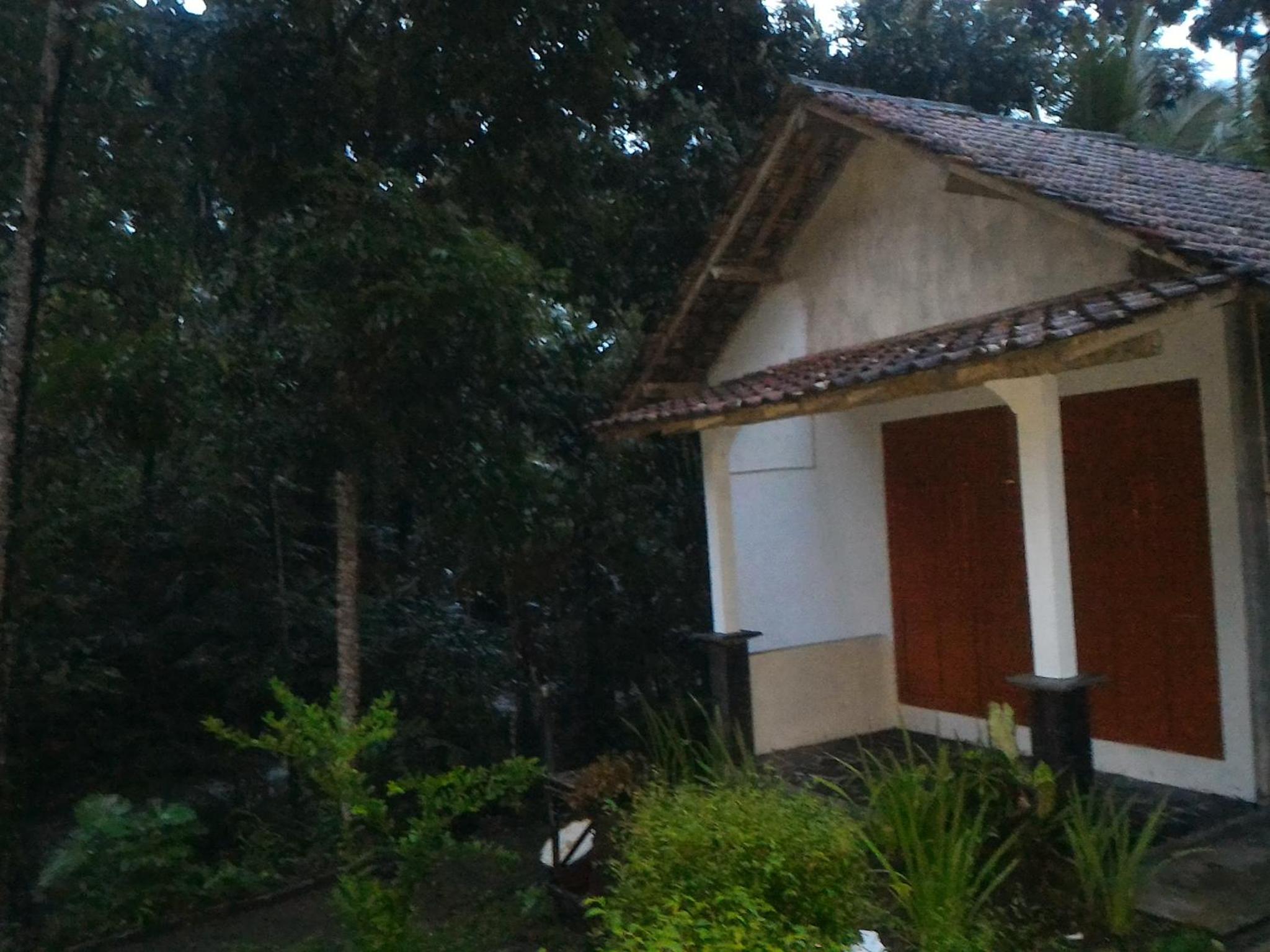 Family Bungalow - Photo 6