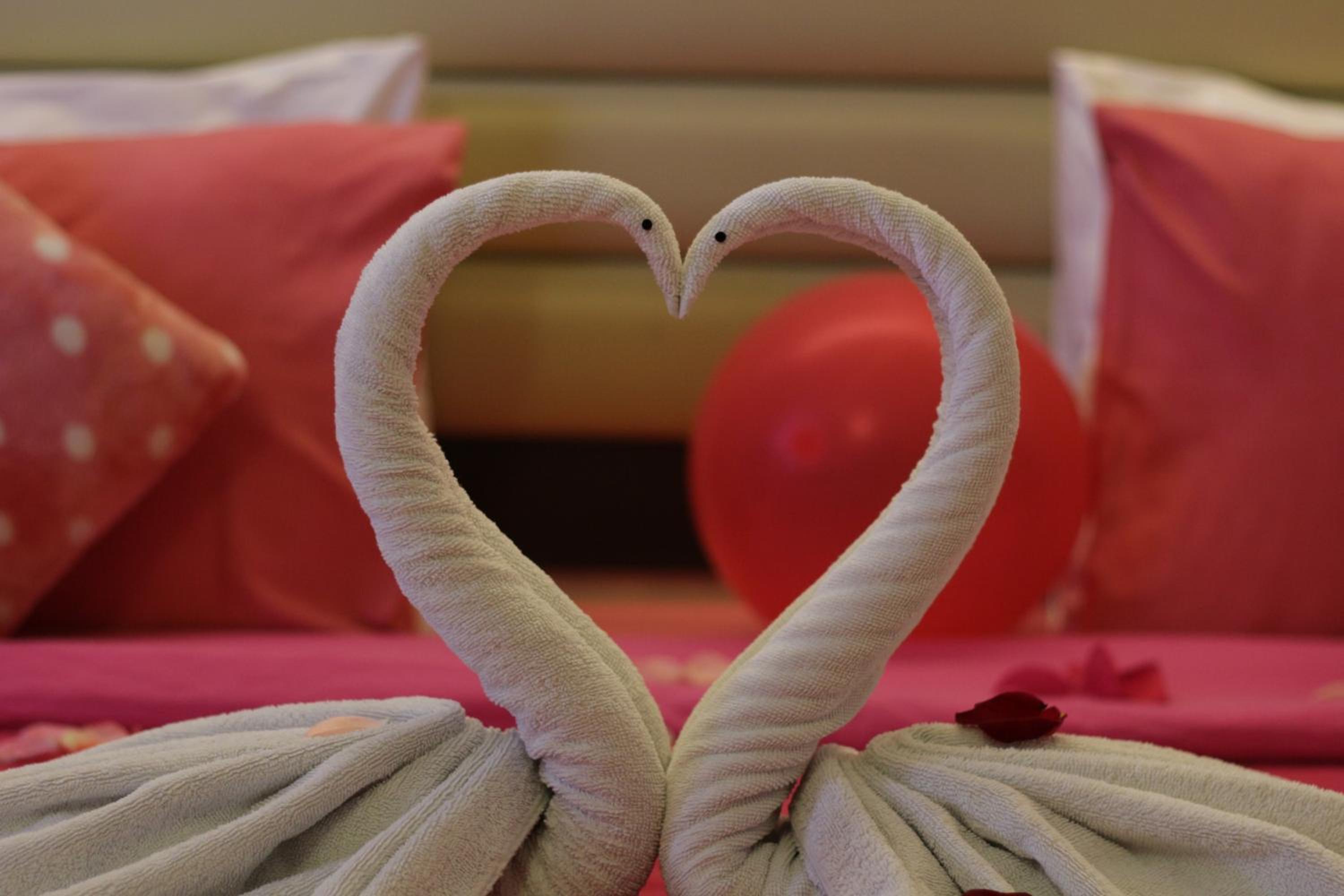 Honeymoon Suite photo 2