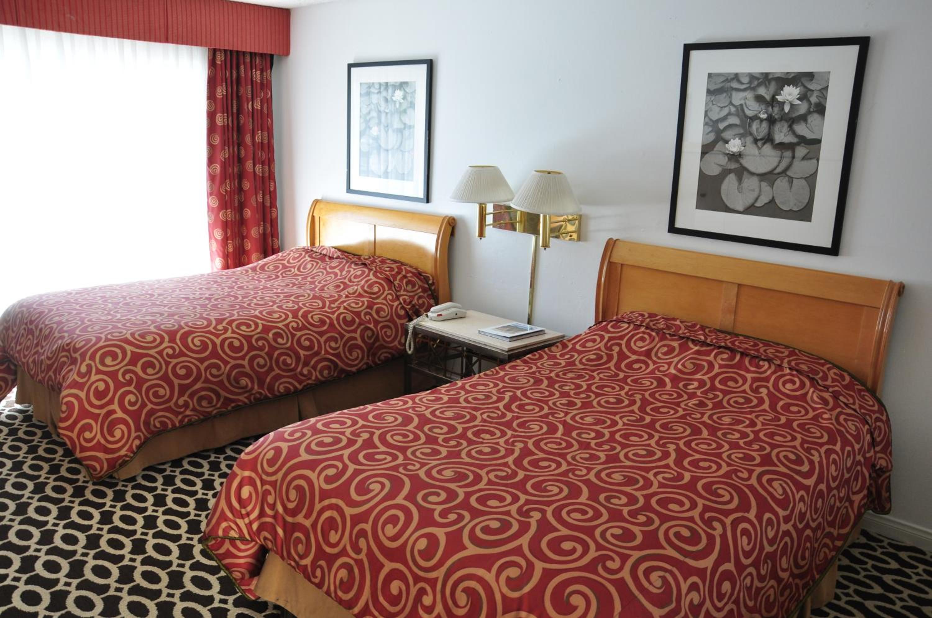 Room With Double Bed photo 1