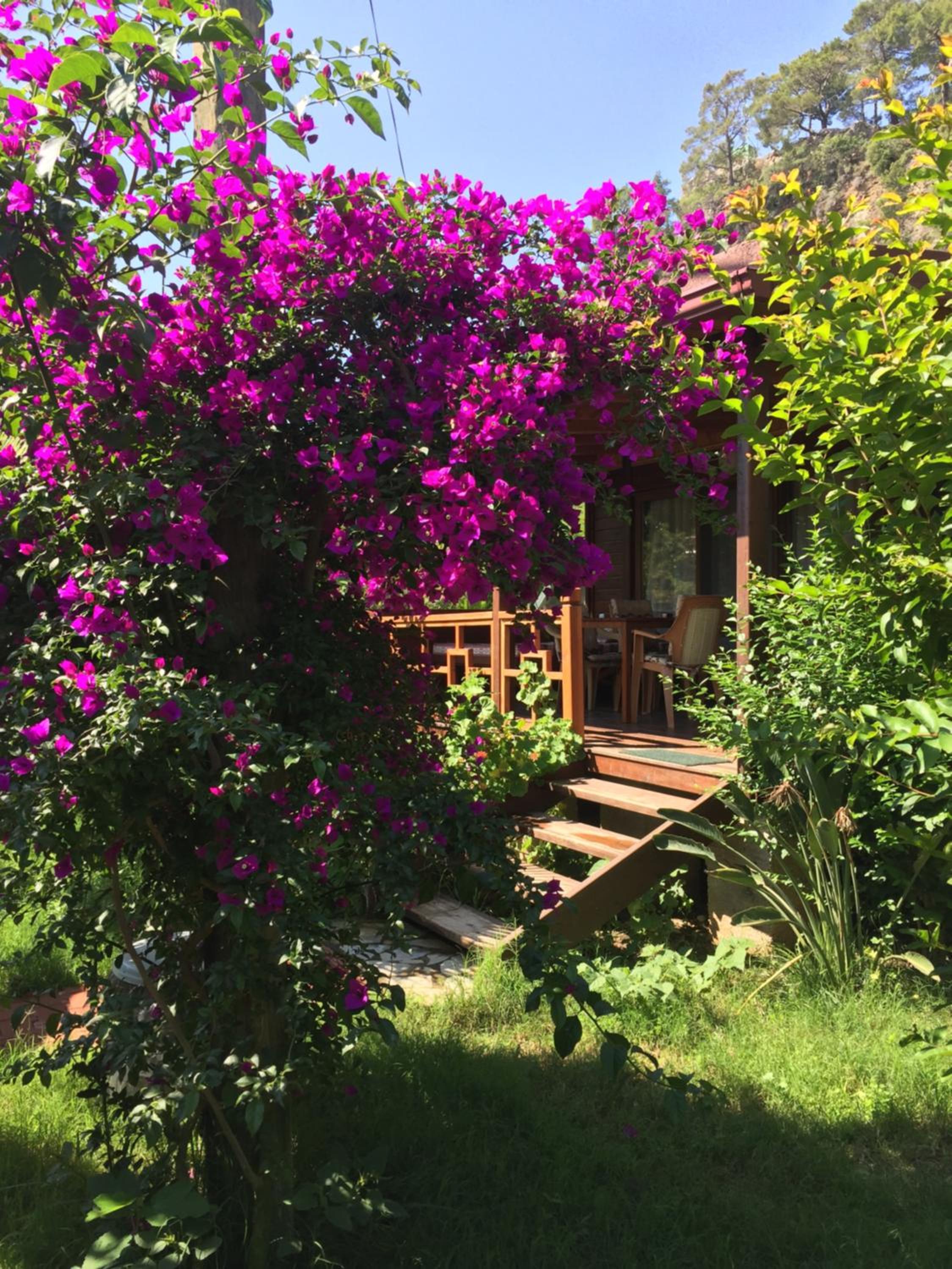 Two-Bedroom Villa - Photo 14