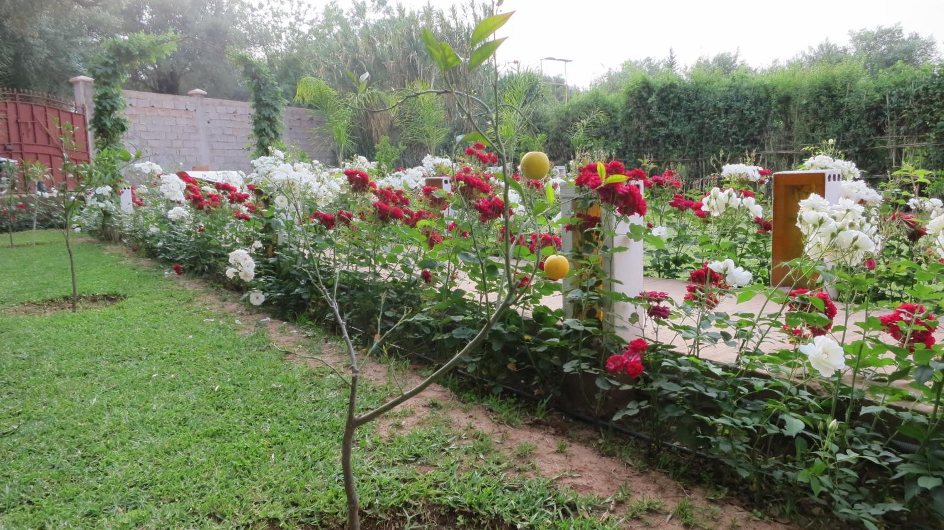 Holiday Home photo 3