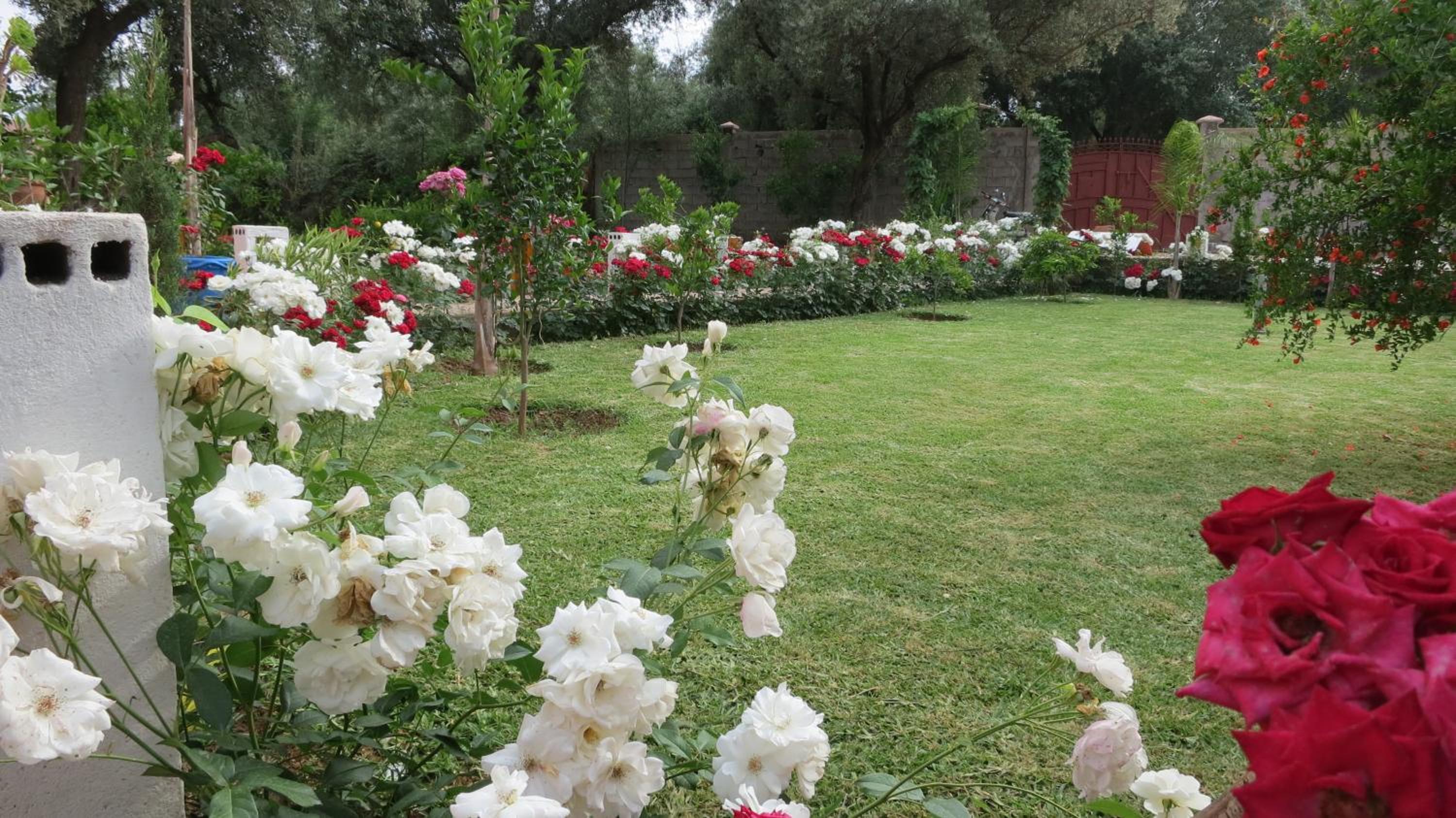 Holiday Home photo 2